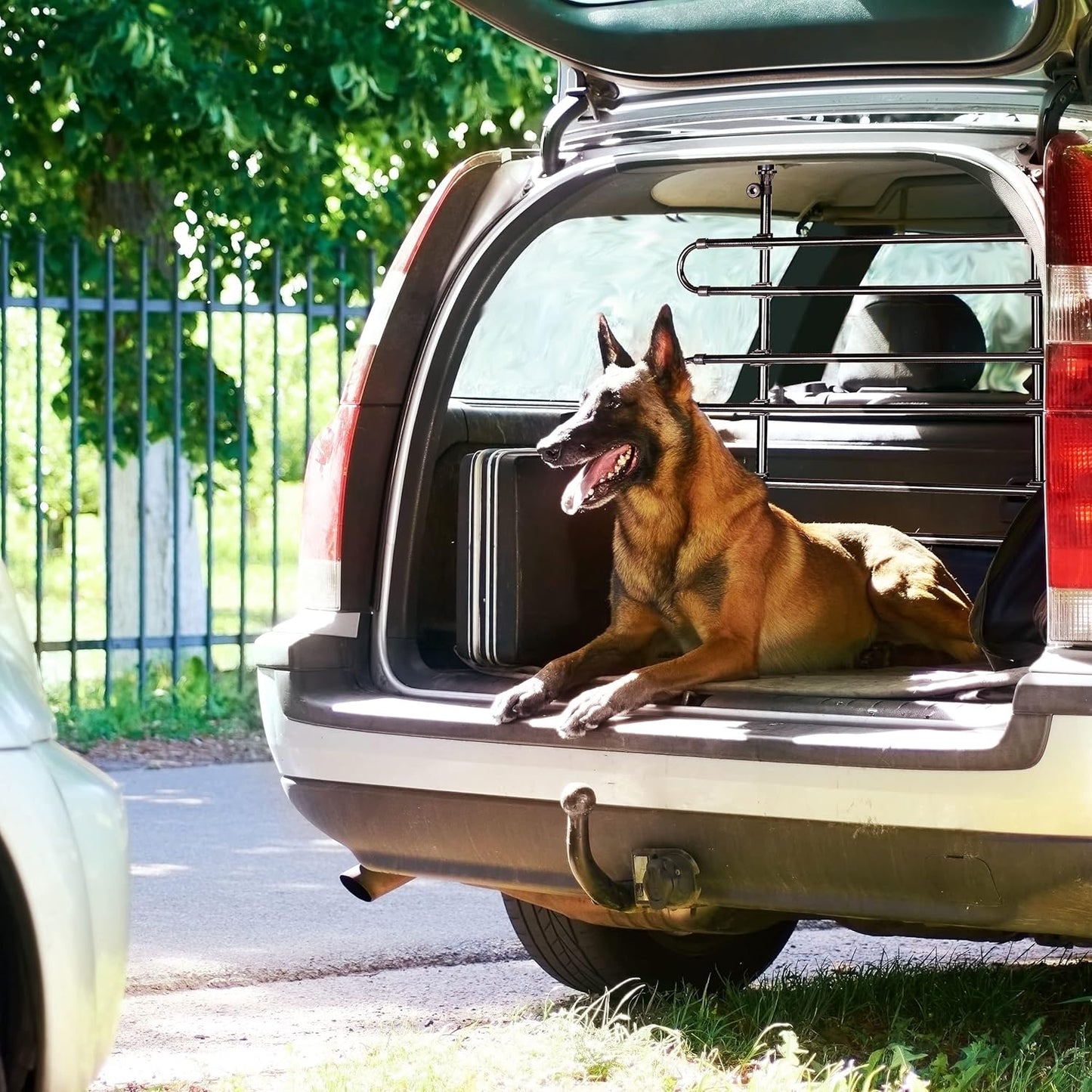 Hundegitter Auto