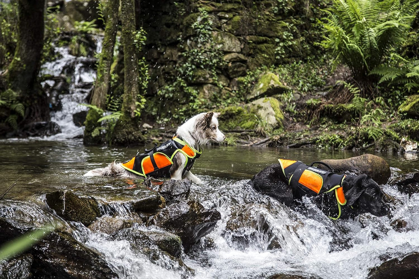 IDC Hundeweste, M / Schwarz und Neon