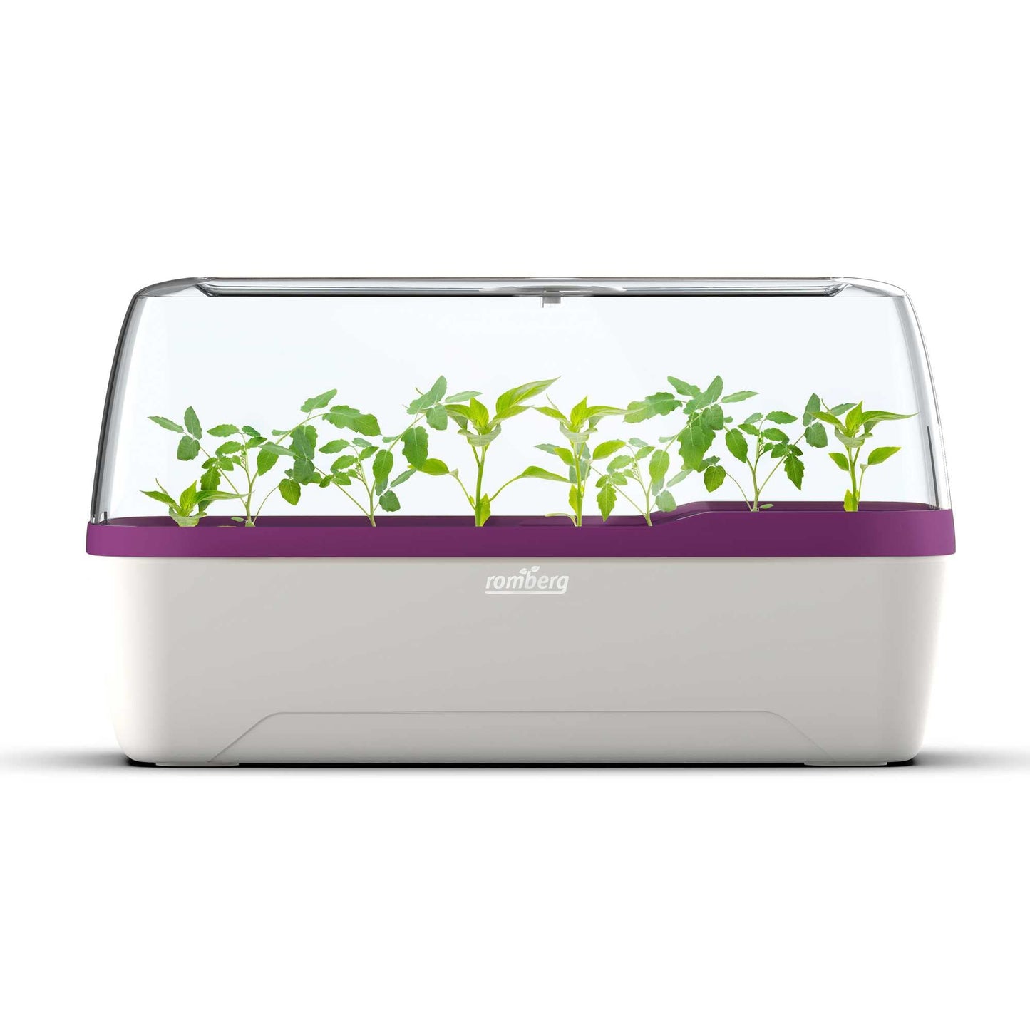 BoQube Zimmergewächshaus mit Bewässerungssystem, BoQube L Plus — 41×17×23cm Weiss / Pflaume