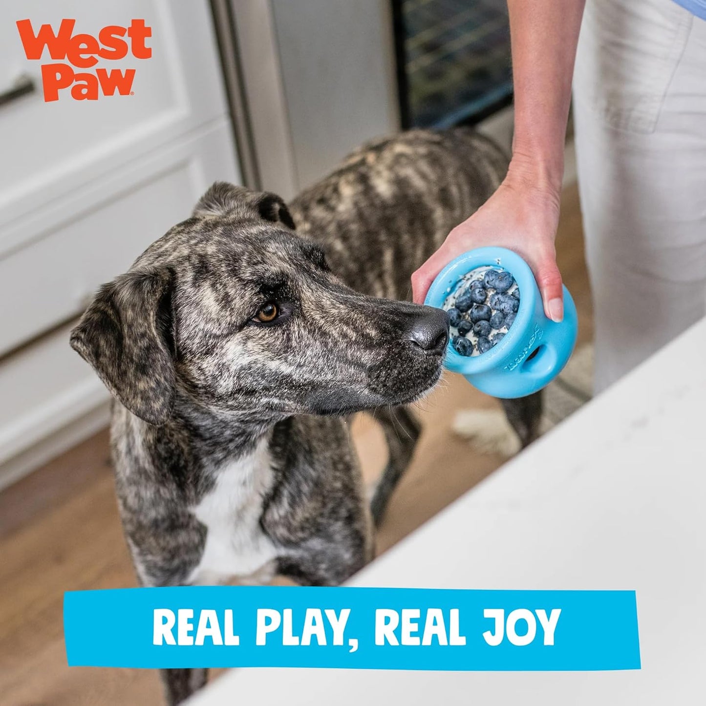 Zogoflex Toppl Hundespielzeug, Small aquablau