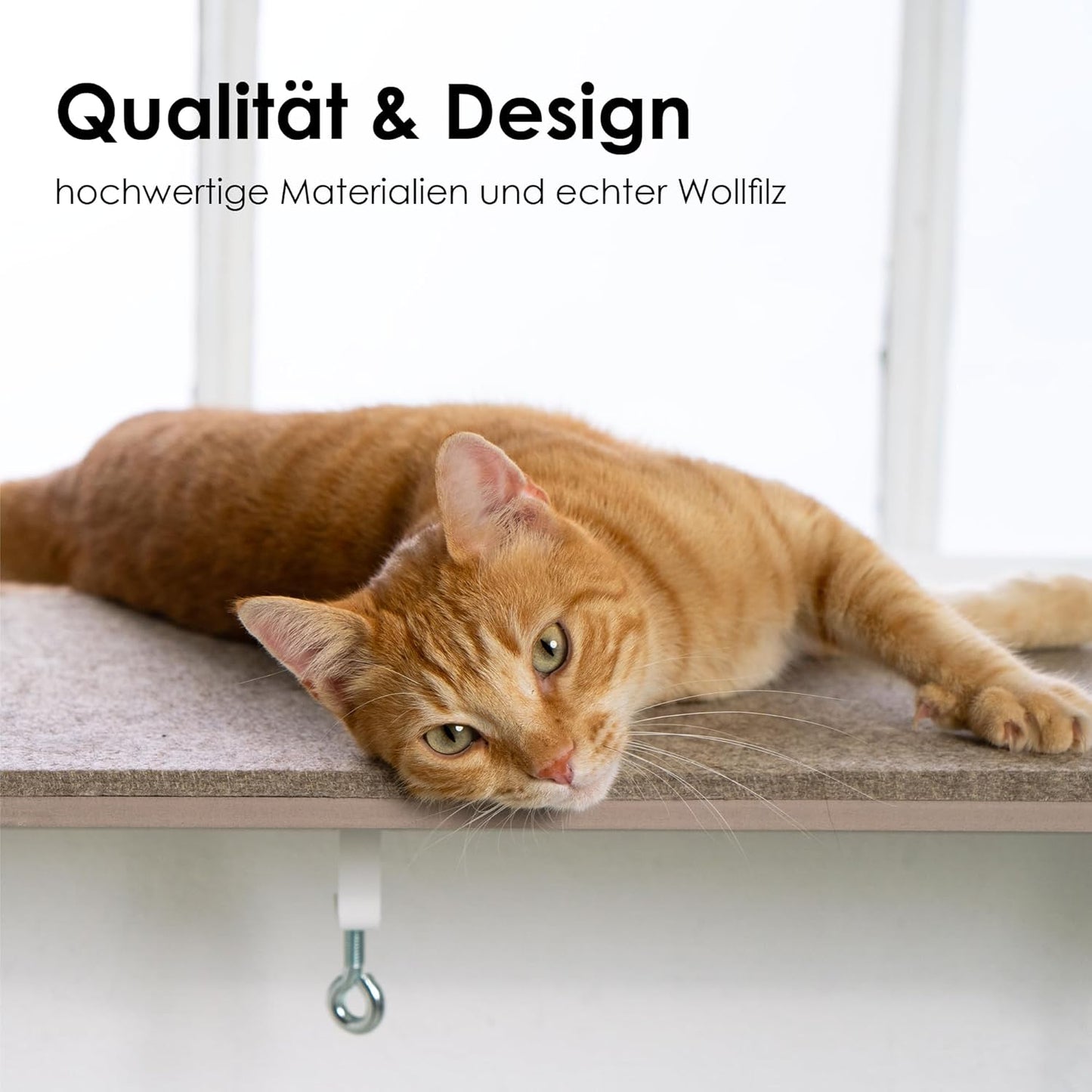 View Katzen Fensterbankliege, Sand