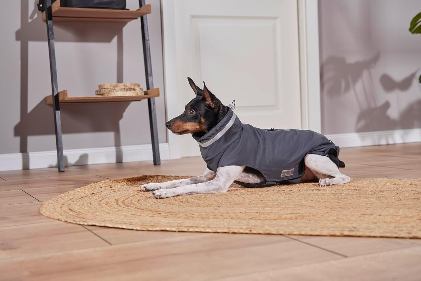 Outdoor Hundejacke bei Kälte und Nässe, Gr. 36 (35-37 cm) Anthrazit