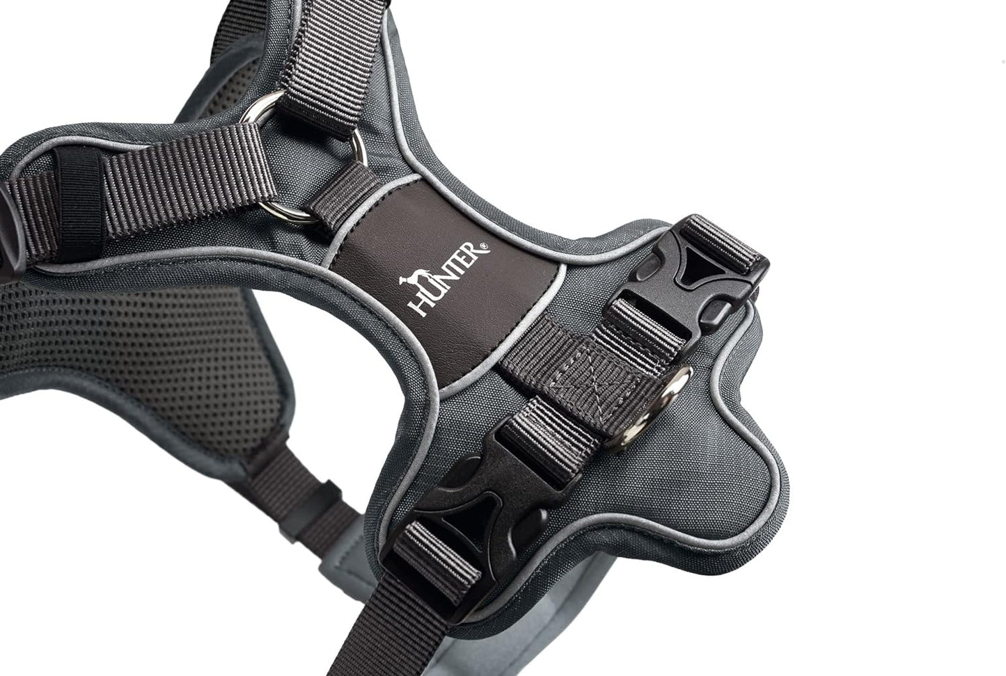 Geschirr Divo, 52 - 68 cm / grau/grau