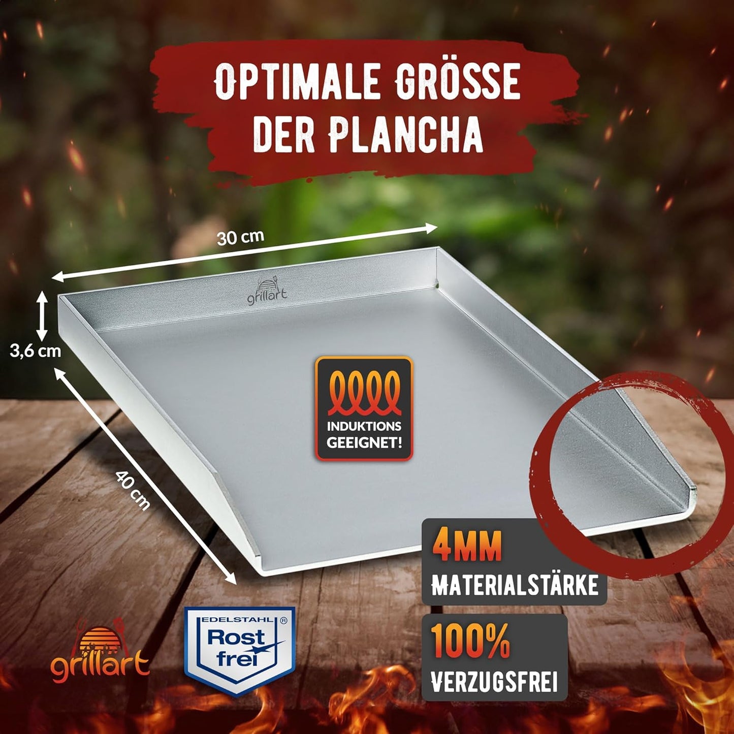 Plancha Grillplatte, 30x40cm - Universalgrösse