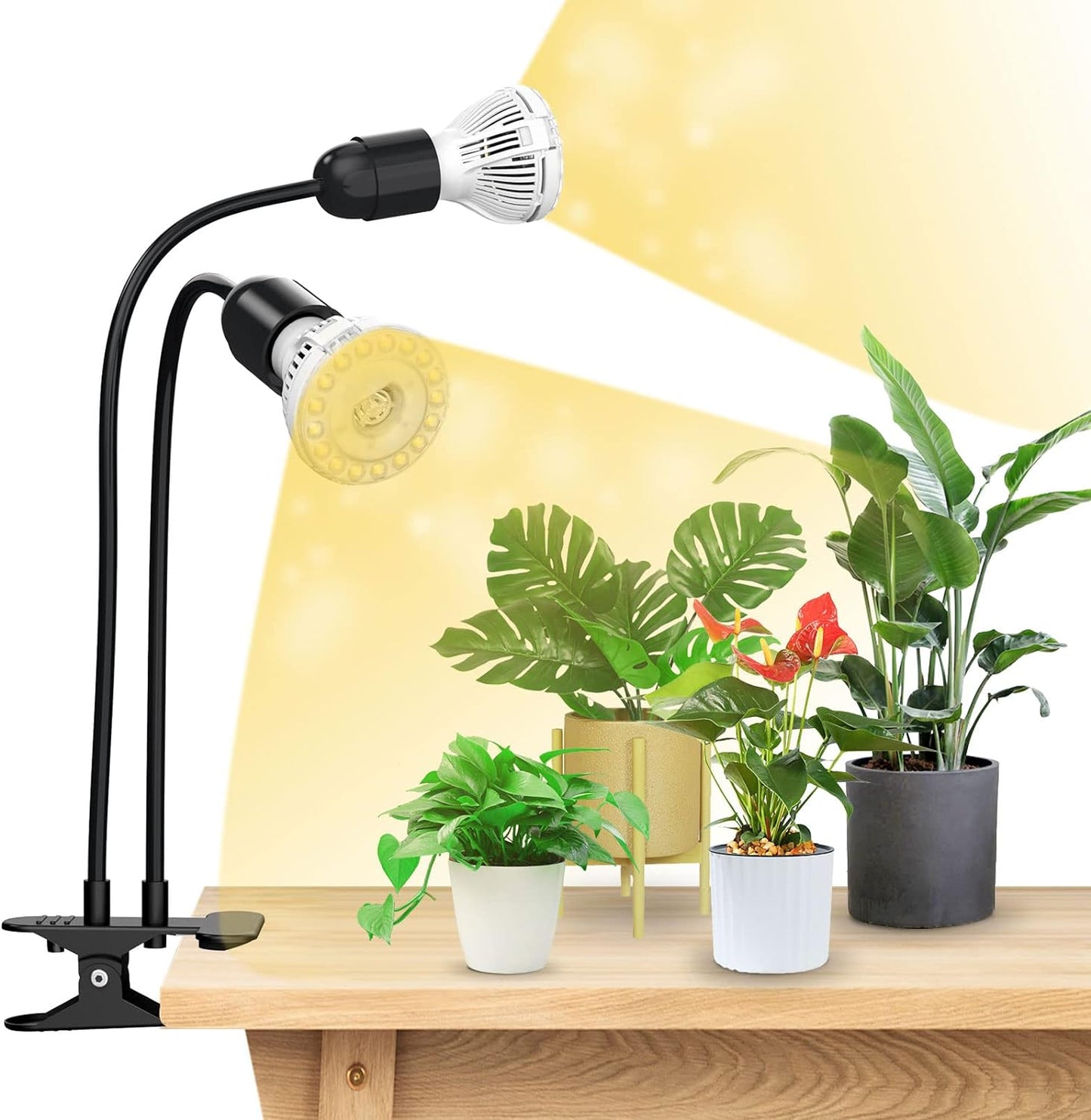 Pflanzenwachstumslampen, 20W Schwarz ohne Timer