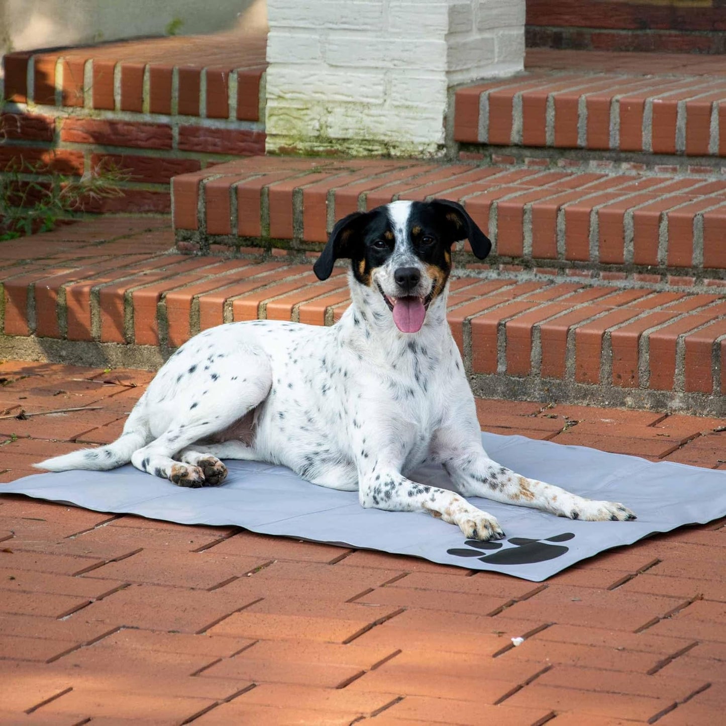 Selbstkühlende Hundematte mit Pfotenmuster, Grau