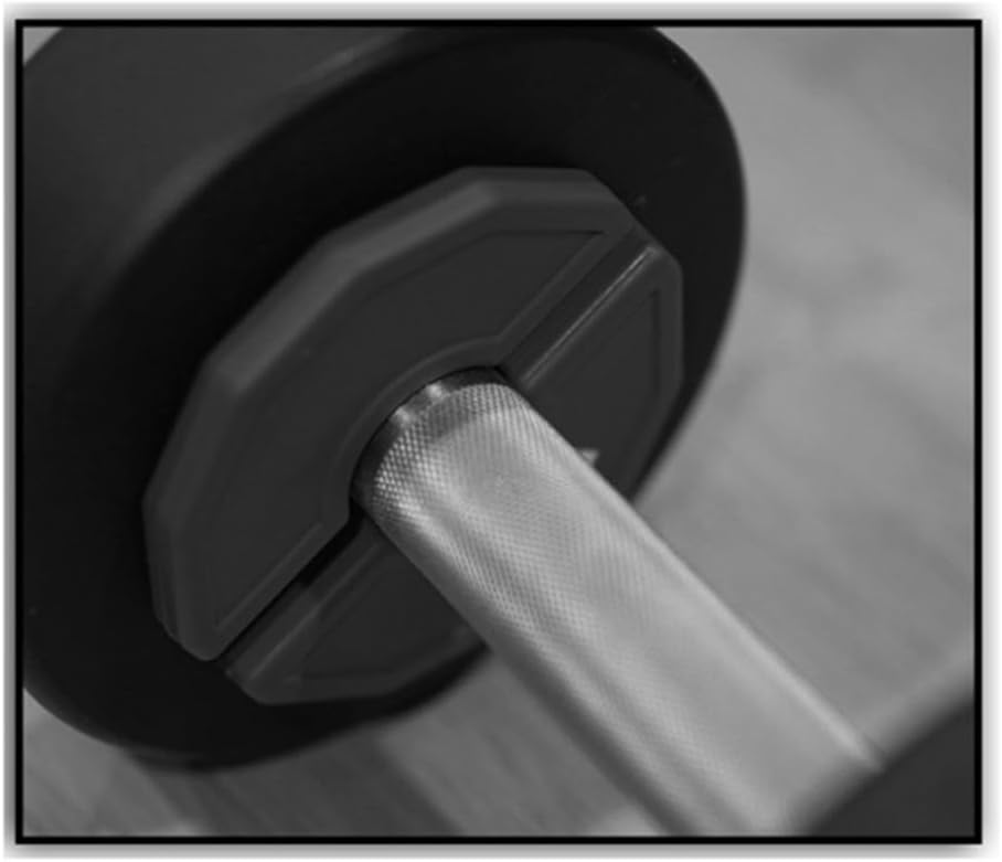 Gummi Gewichtsscheibe 2er-Set