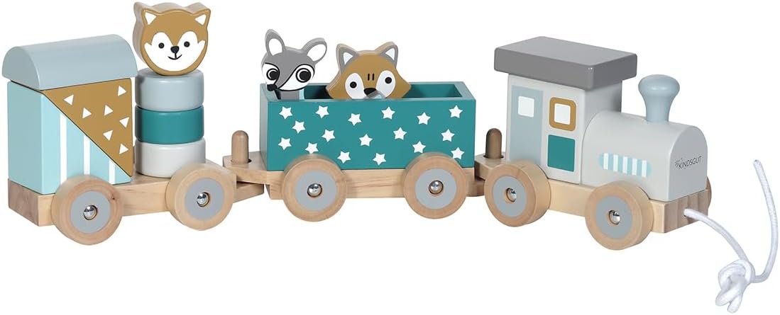 Holz-Eisenbahn mit Zoo-Tieren und Bausteinen, Petrol