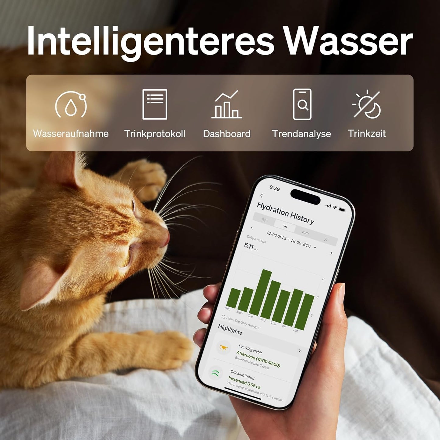 Kabelloser Katzenbrunnen mit App-Überwachung, Schwarz 3L