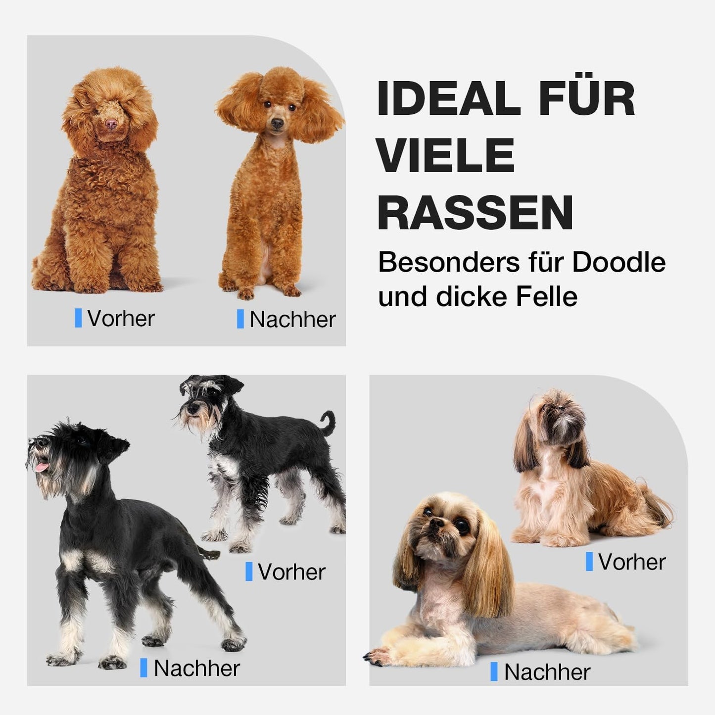 Hundeschermaschine mit Zubehör, Silber