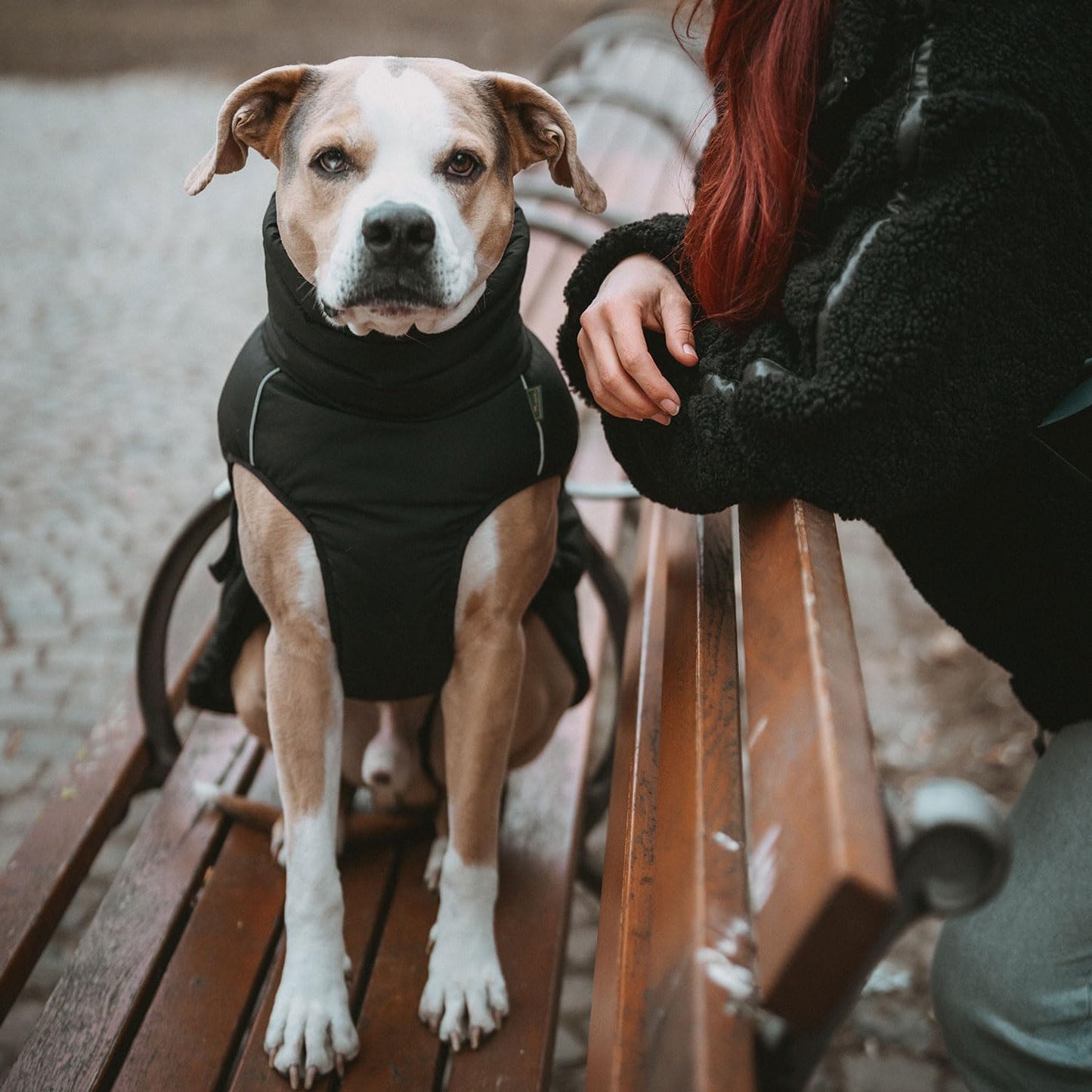 Hundemantel, 30 schwarz