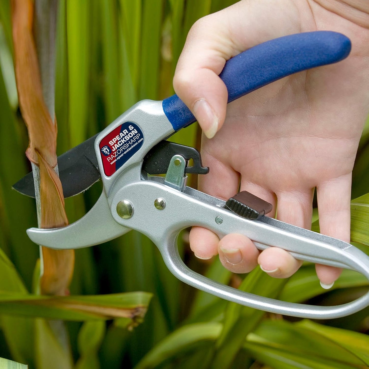 Ratschen-Amboss-Gartenschere