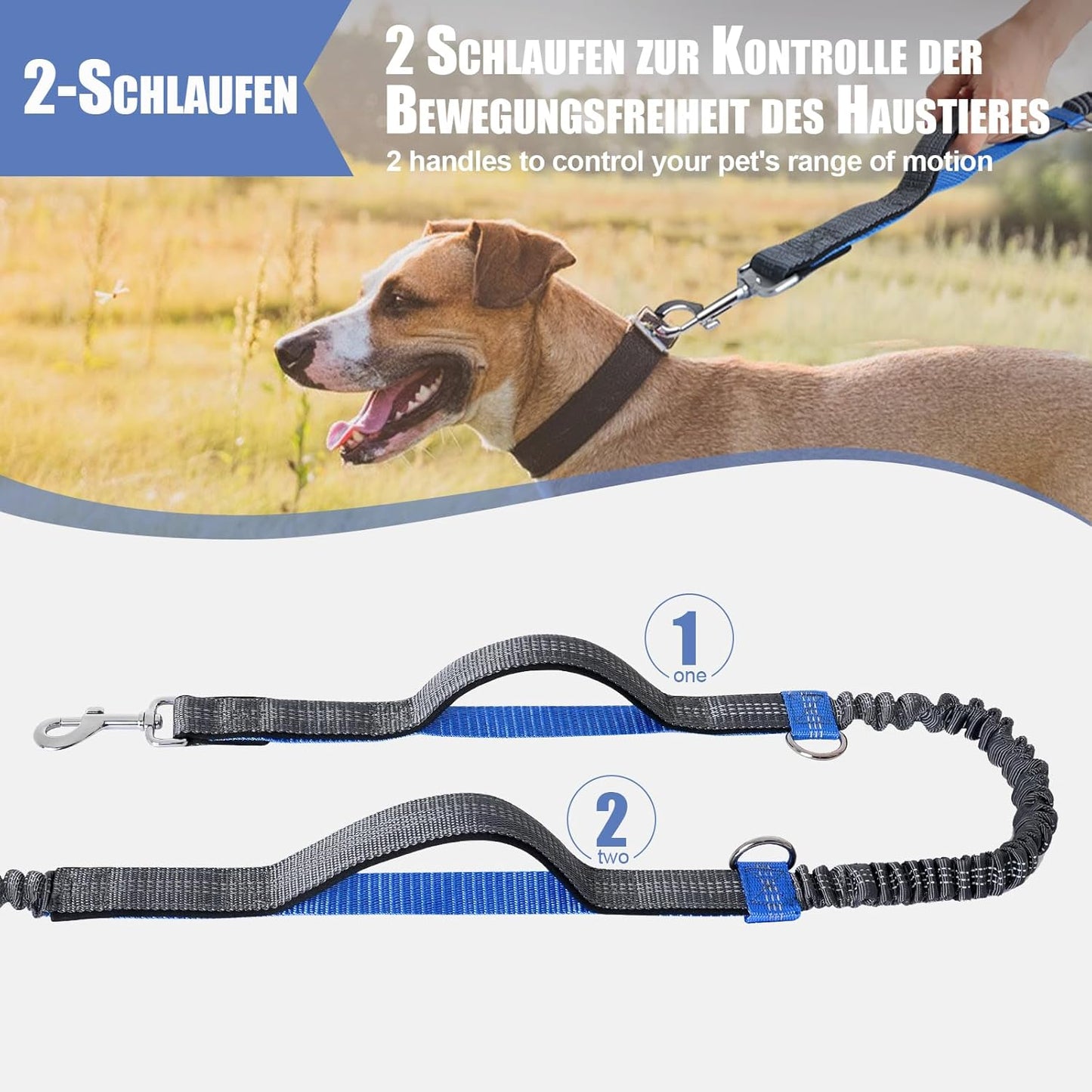 Elastische Joggingleine für Hunde mit Taillengürtel, Für einen Hund Grau & Königsblau