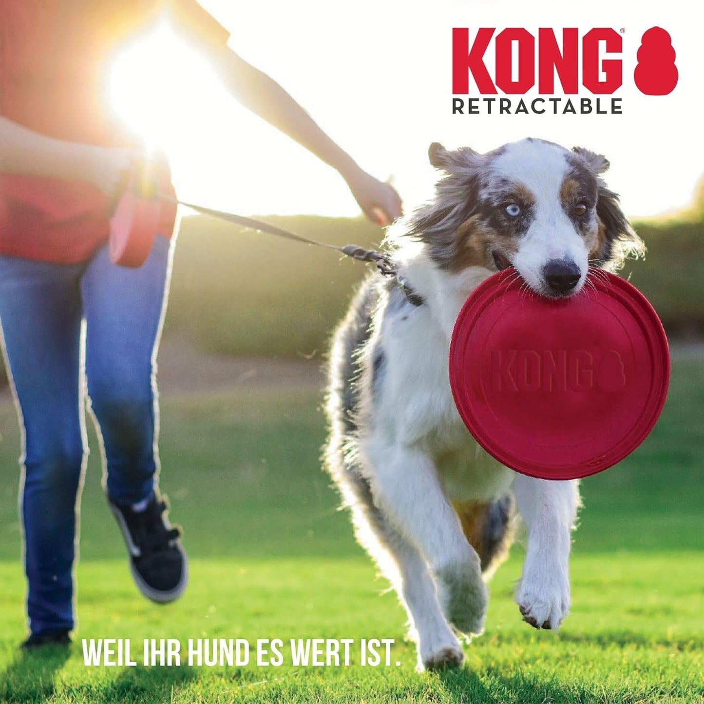Hundeleine mit Break & Lock System, Terrain S (bis 20 kg) Blue