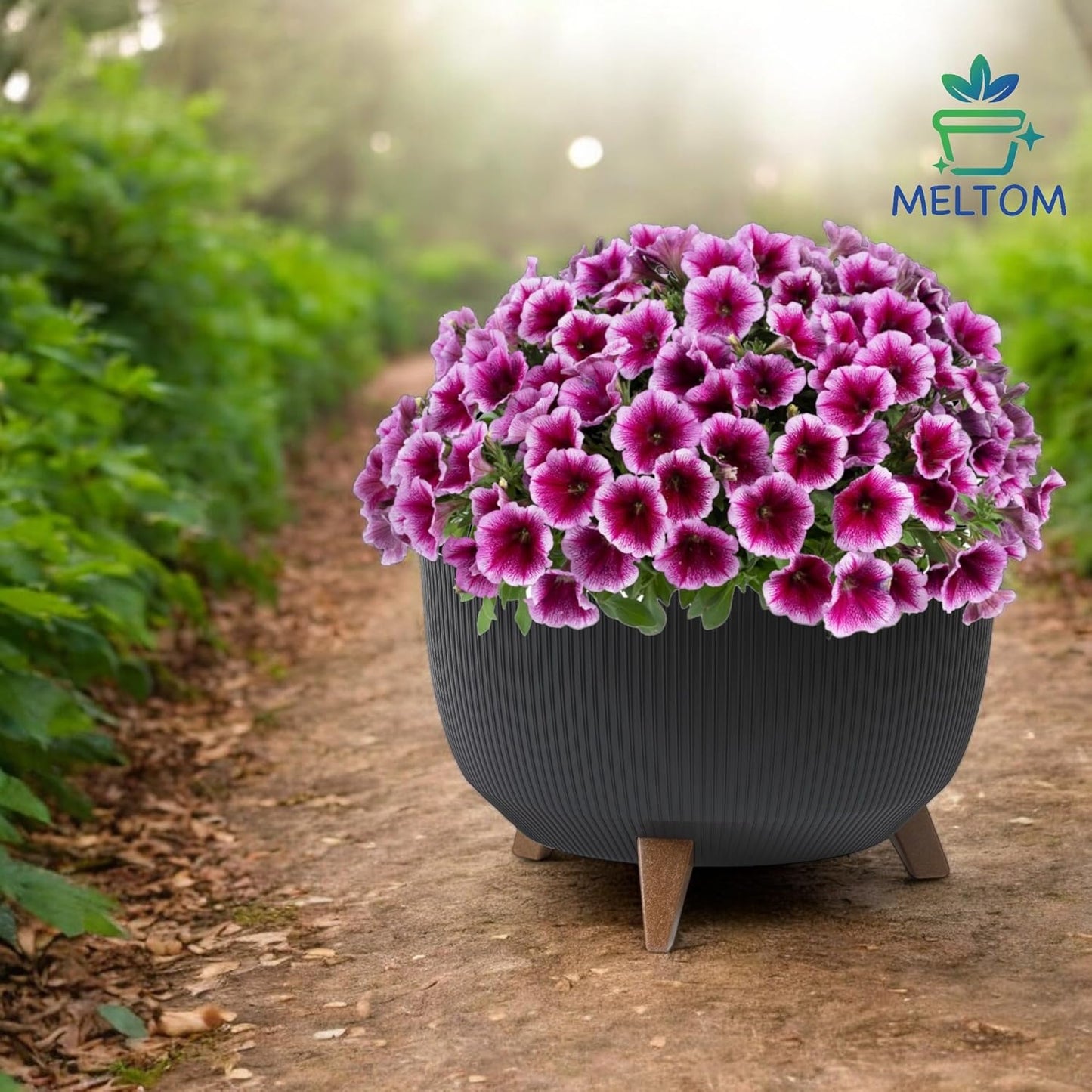 Blumentopfschale mit Füssen, Schwarz L - 40 cm