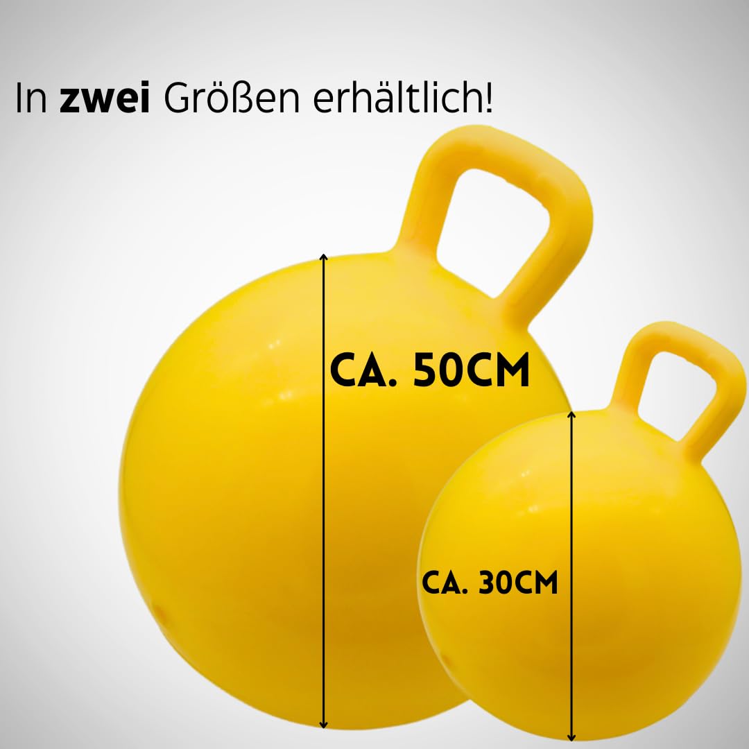 Aufblasbarer Pferdespielball mit Luftpumpe, 30cm Mit Luftpumpe
