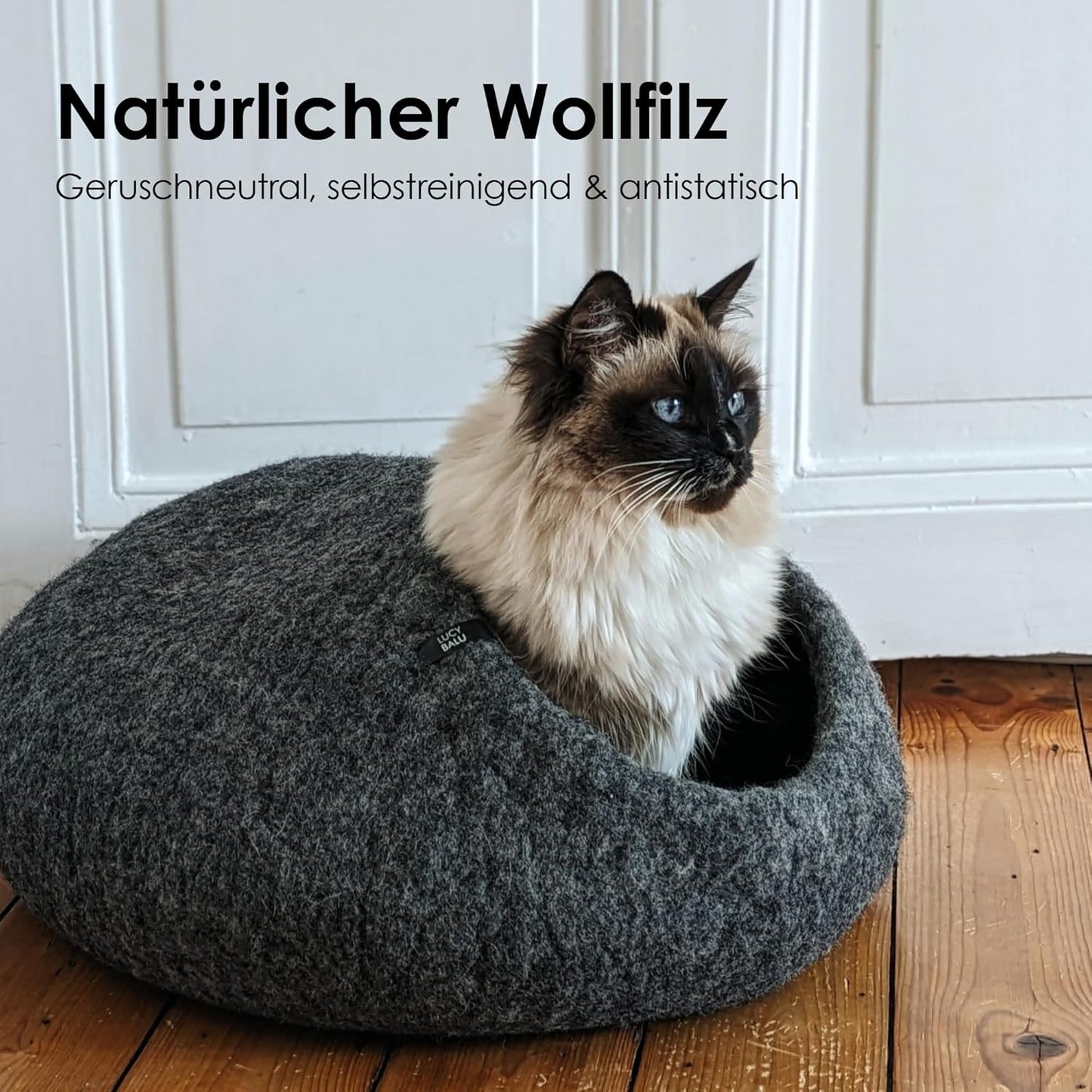 Katzenhöhle Pebble, Grau