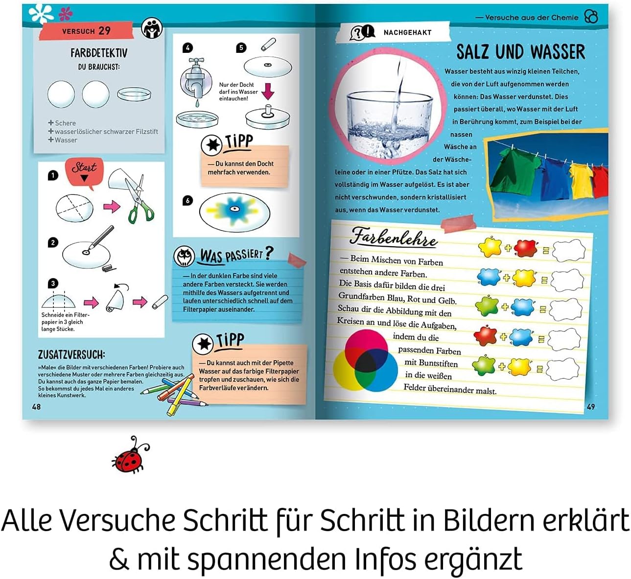 Mein erster Experimentierkasten Naturgesetze, Naturgesetze