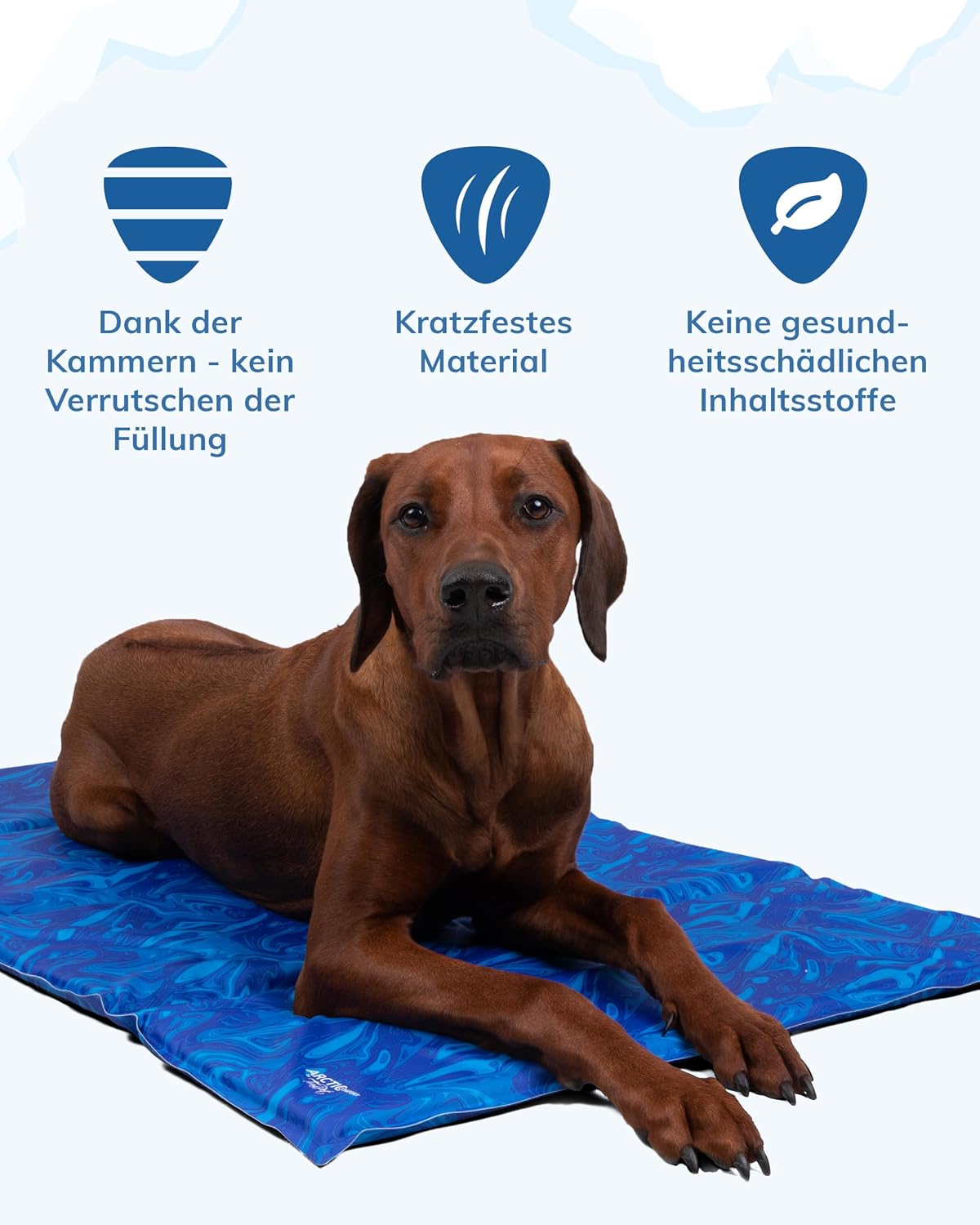 Arctic Comfort Hundekühlmatte, 50x35cm, 50x35cm