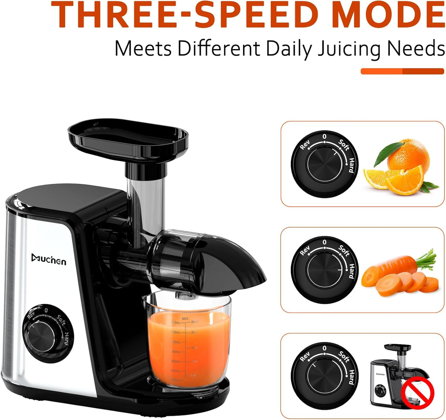 Slow Juicer Entsafter mit Rückwärtsfunktion, Single