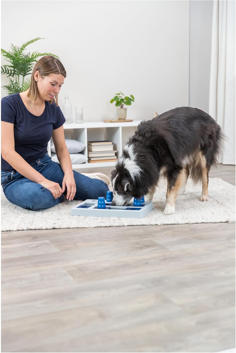 Dog Activity Strategiespiel Chess, Chess