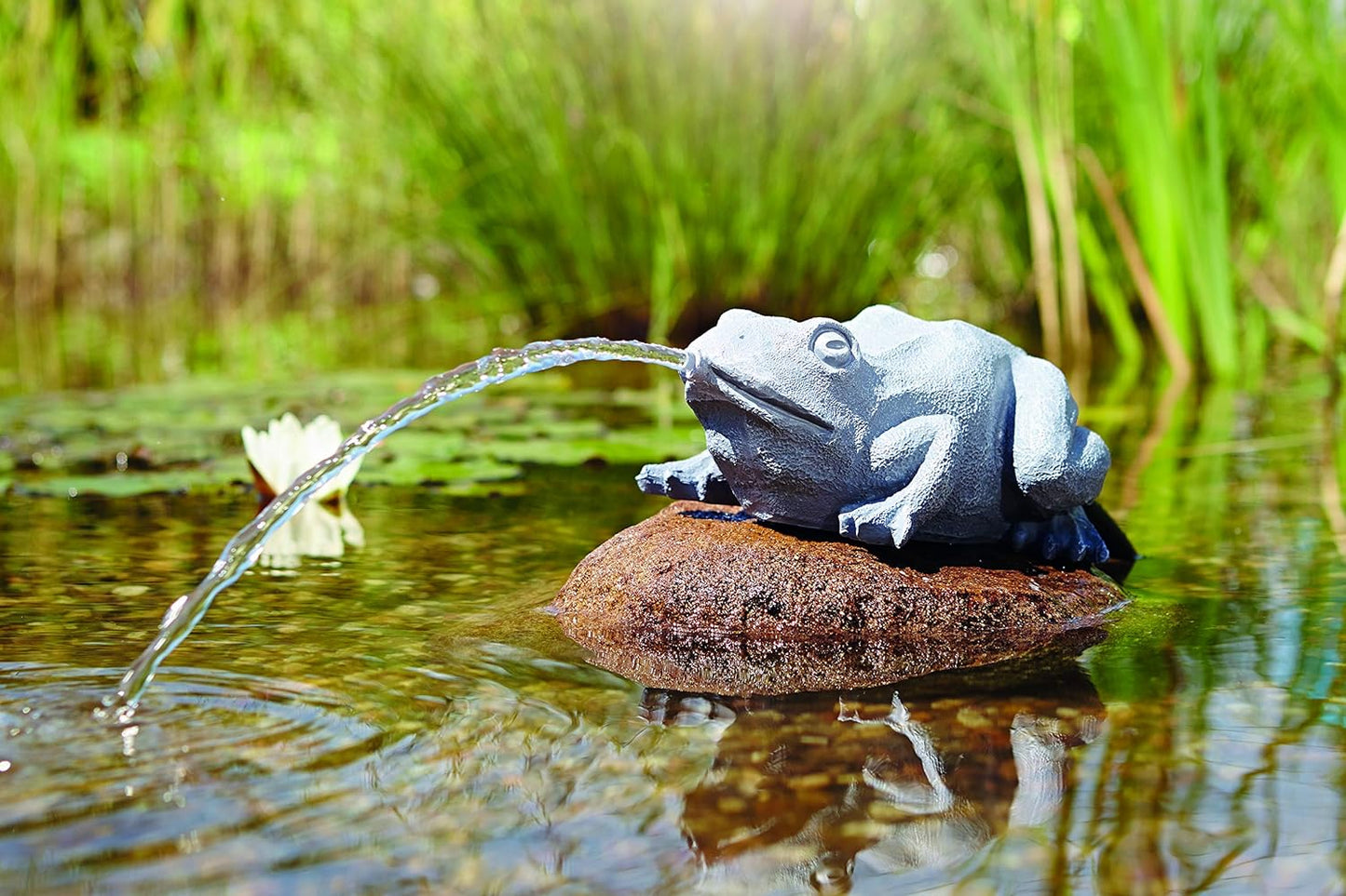 Wasserspeier Frosch