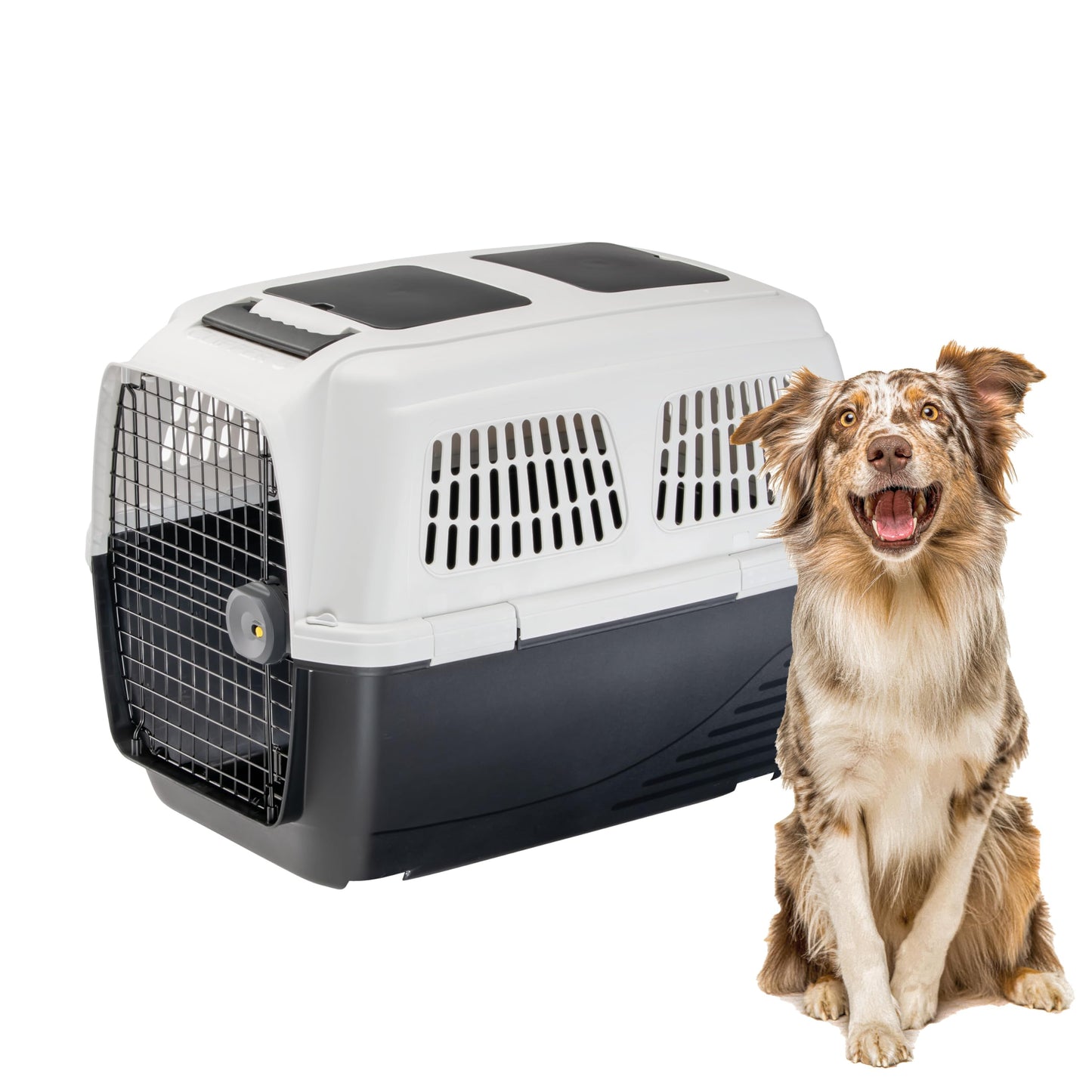 Hundetransportkäfig bis 30 kg, 87 x 57 x h 60 cm.