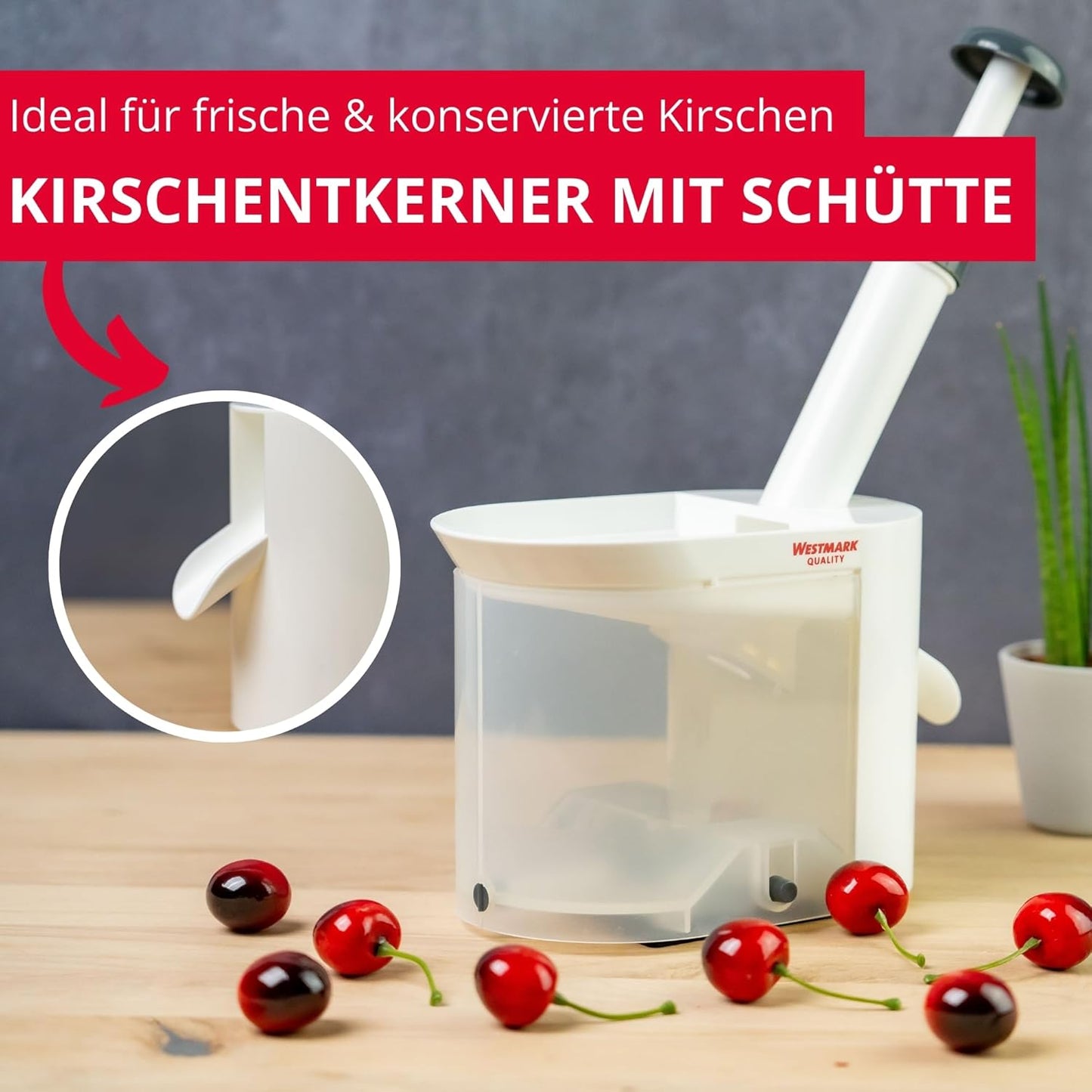 Kirschenentkerner, Einzeln
