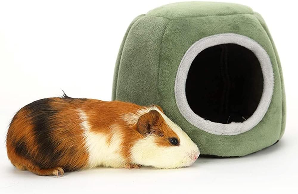 Kleintierbett für Hamster, Grün