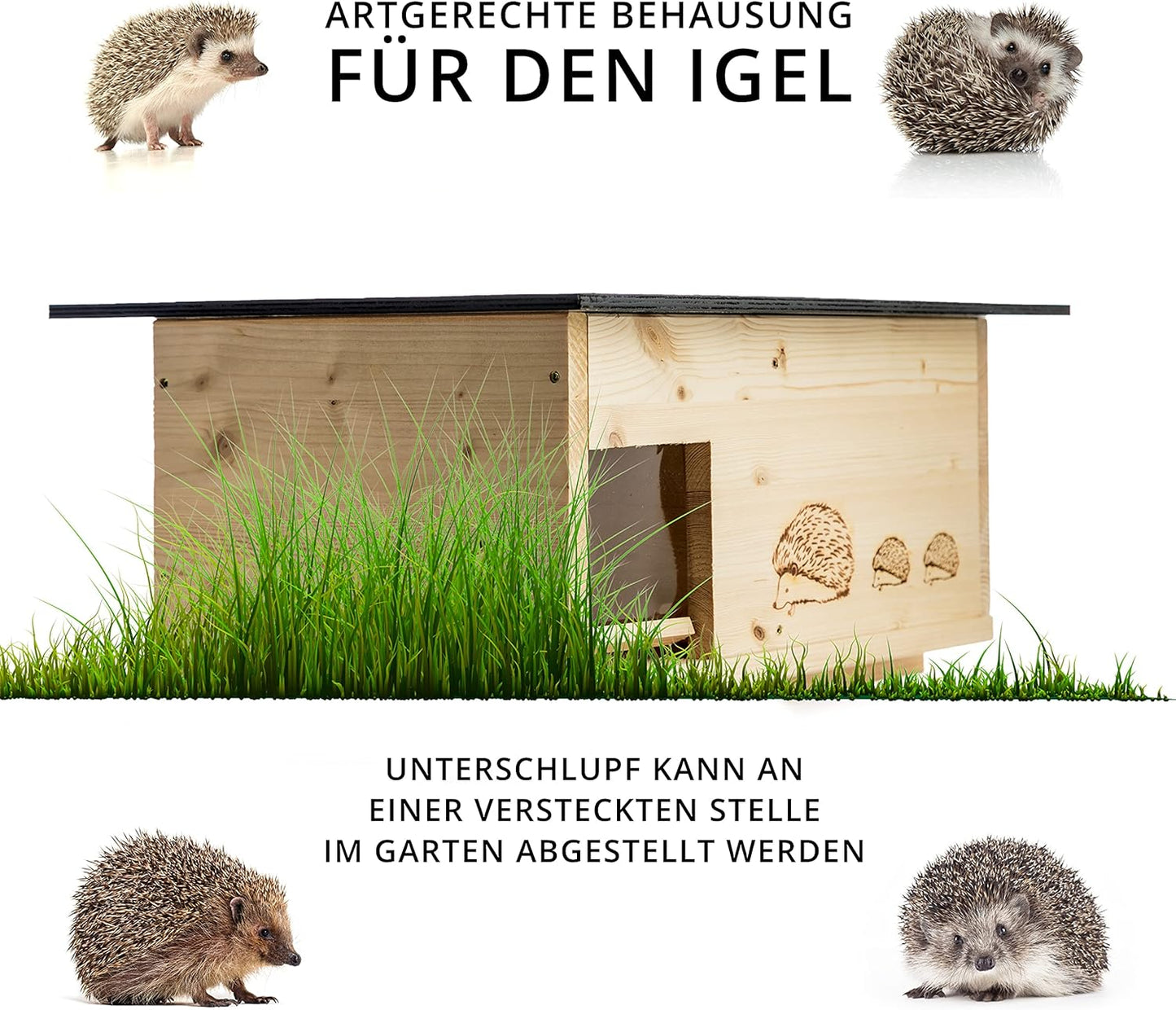 Igelhaus mit Labyrintheingang und Rattenklappe, Natur