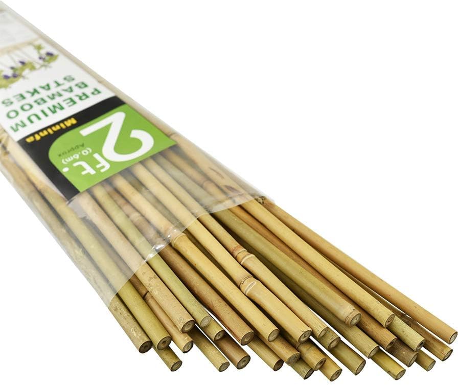 Natürliche Bambusstäbe für Pflanzen (60 cm, 30 Stück), 60 CM 30 Stück