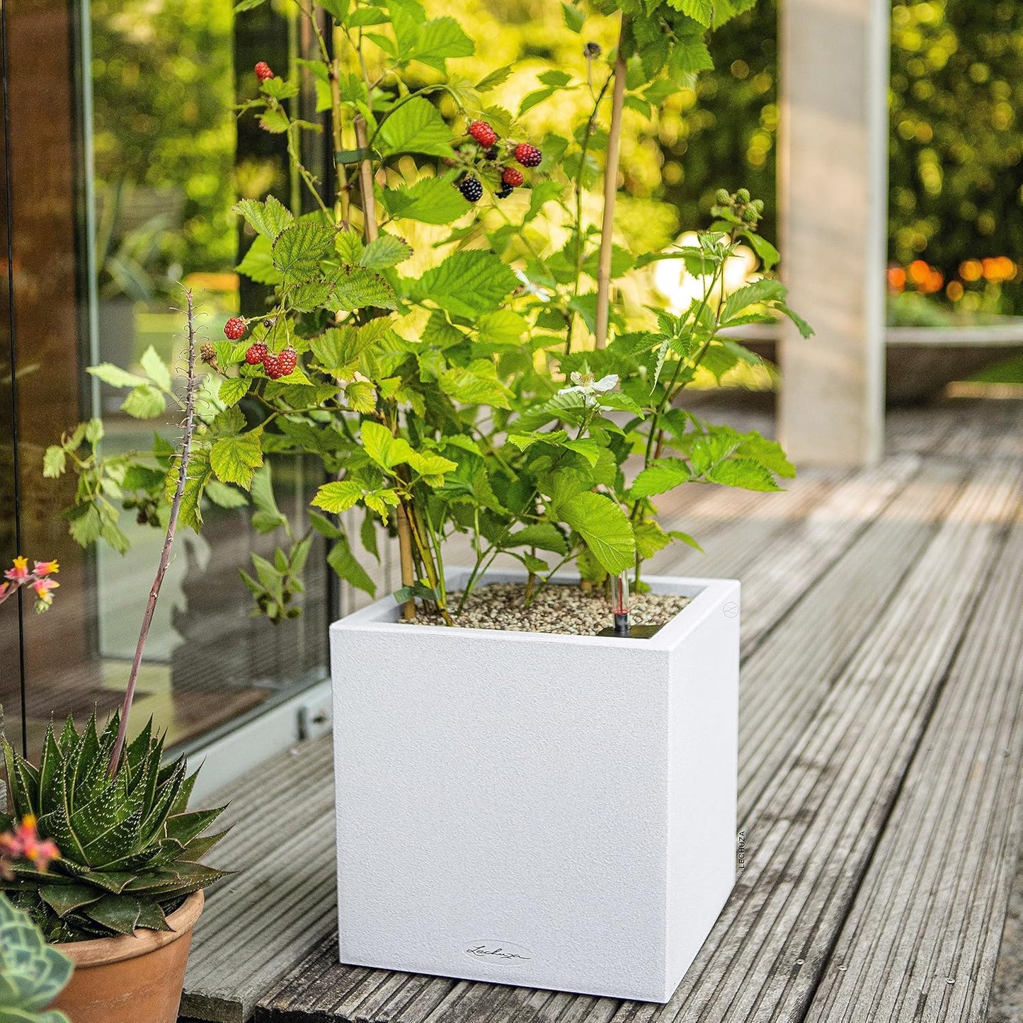 Blumentopf Canto Stone 30, 30x30x30 cm Quarzweiss