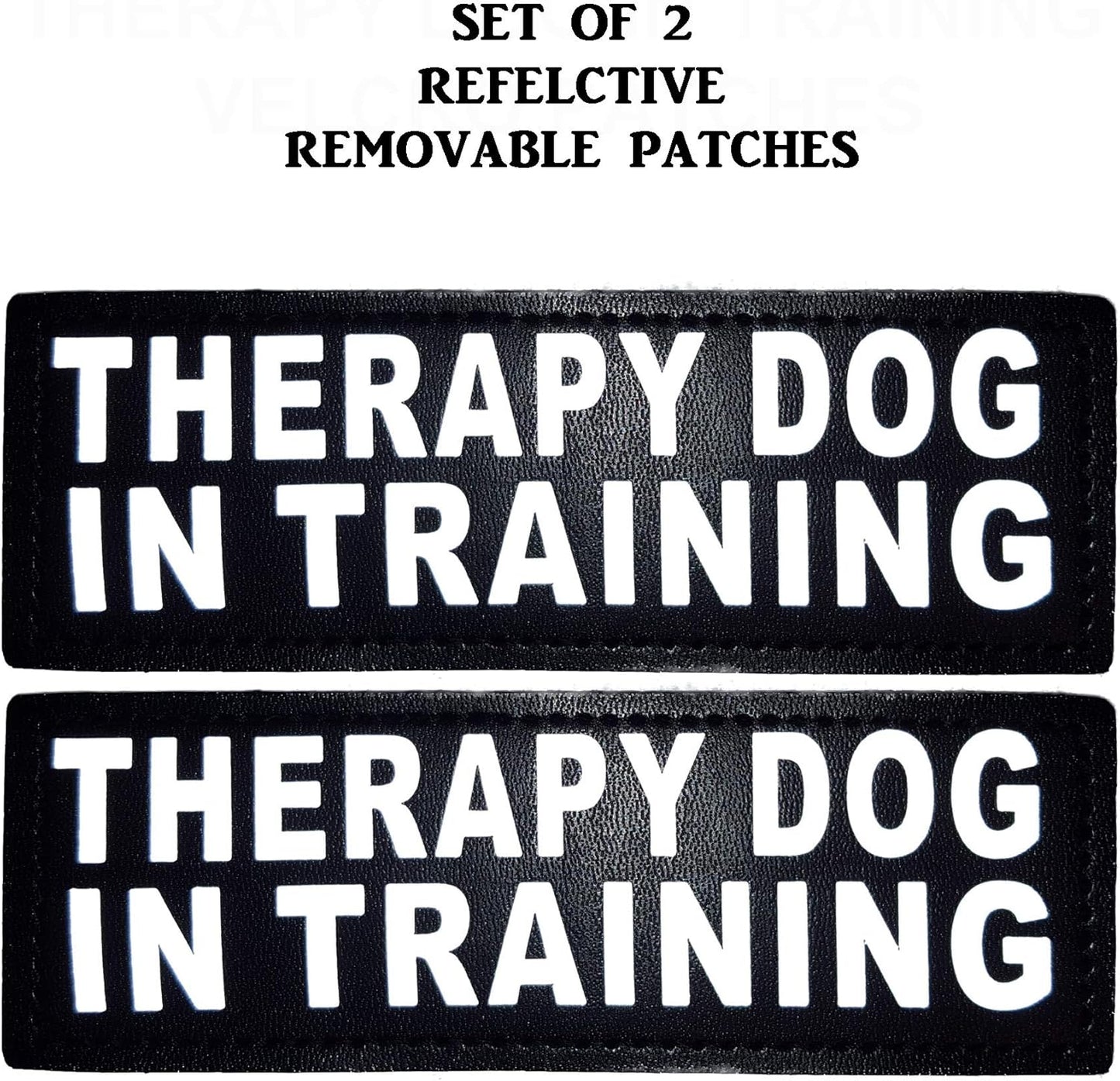 Hundegeschirr für Therapie- und Trainingshunde, Girth 19-25" rot