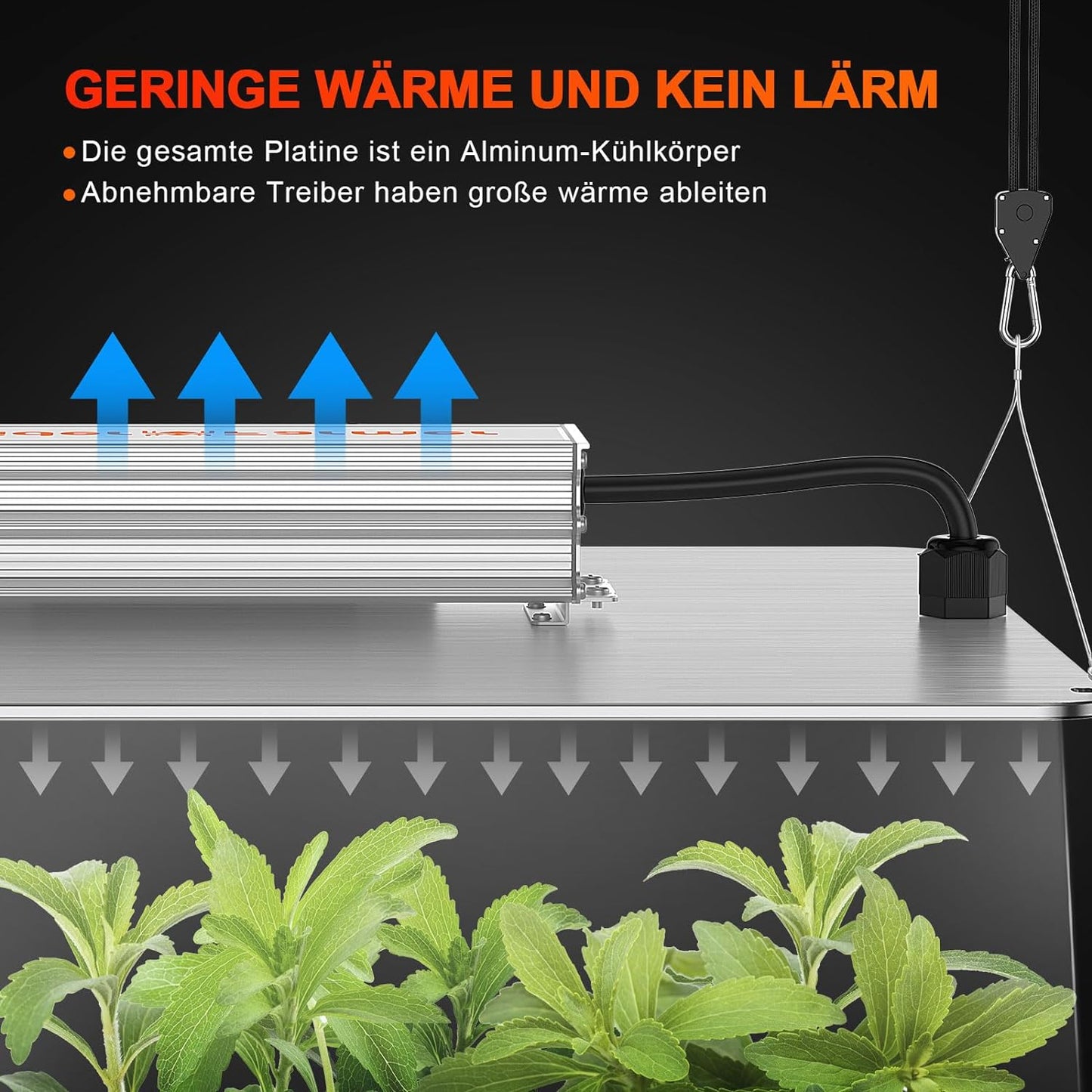 ‎SF1000, SF1000-100W