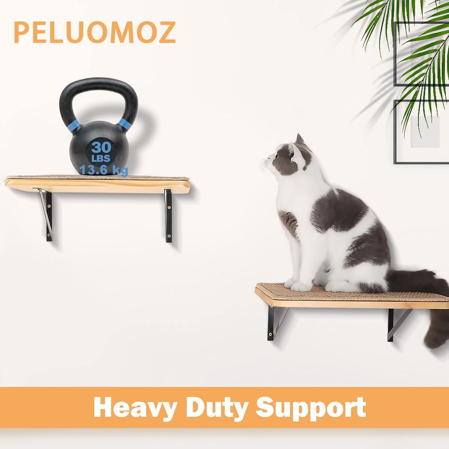 Katzen-Wandregal mit Kratzmatte, 1PC Katze Wandregal