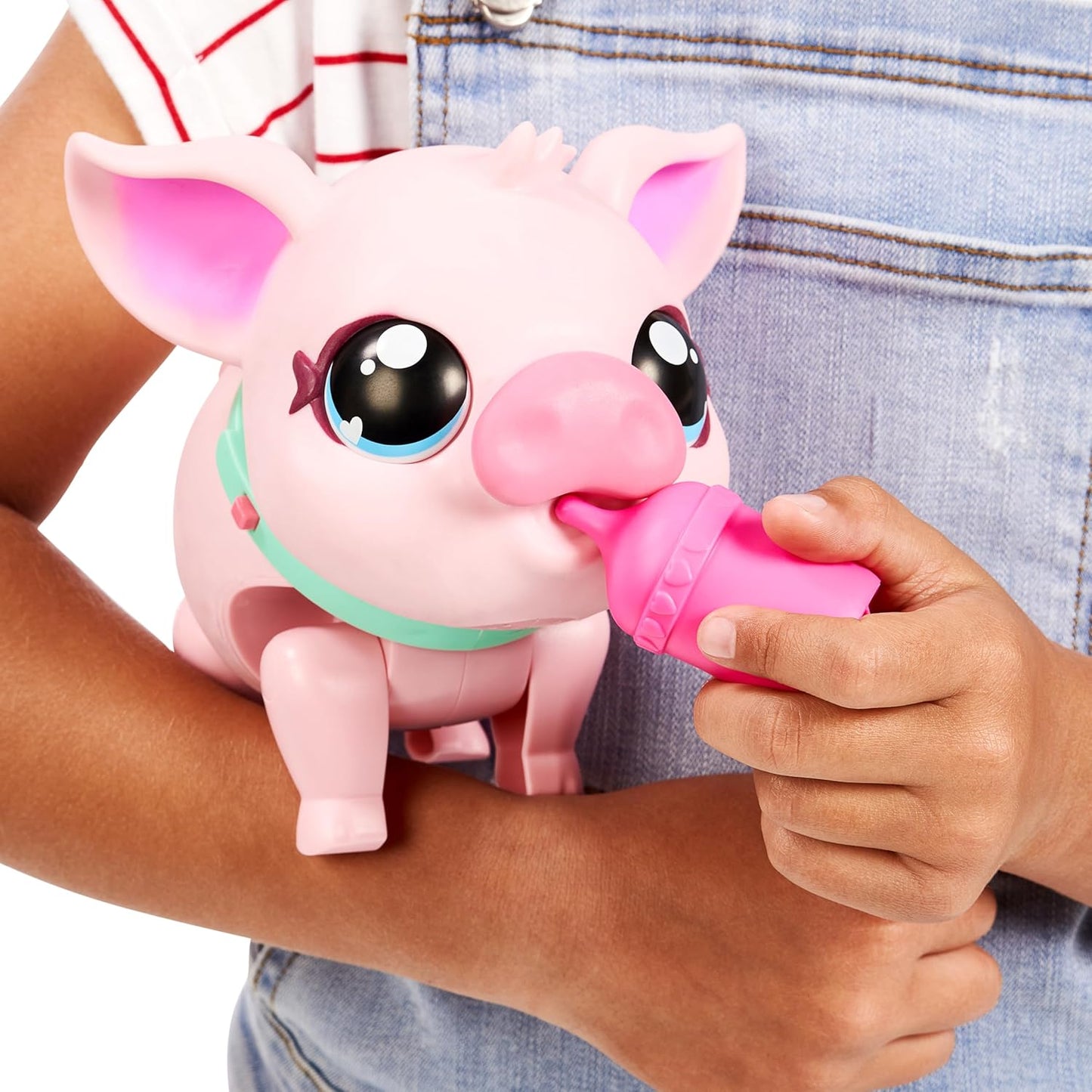 Mein Haustier Schwein, Pig