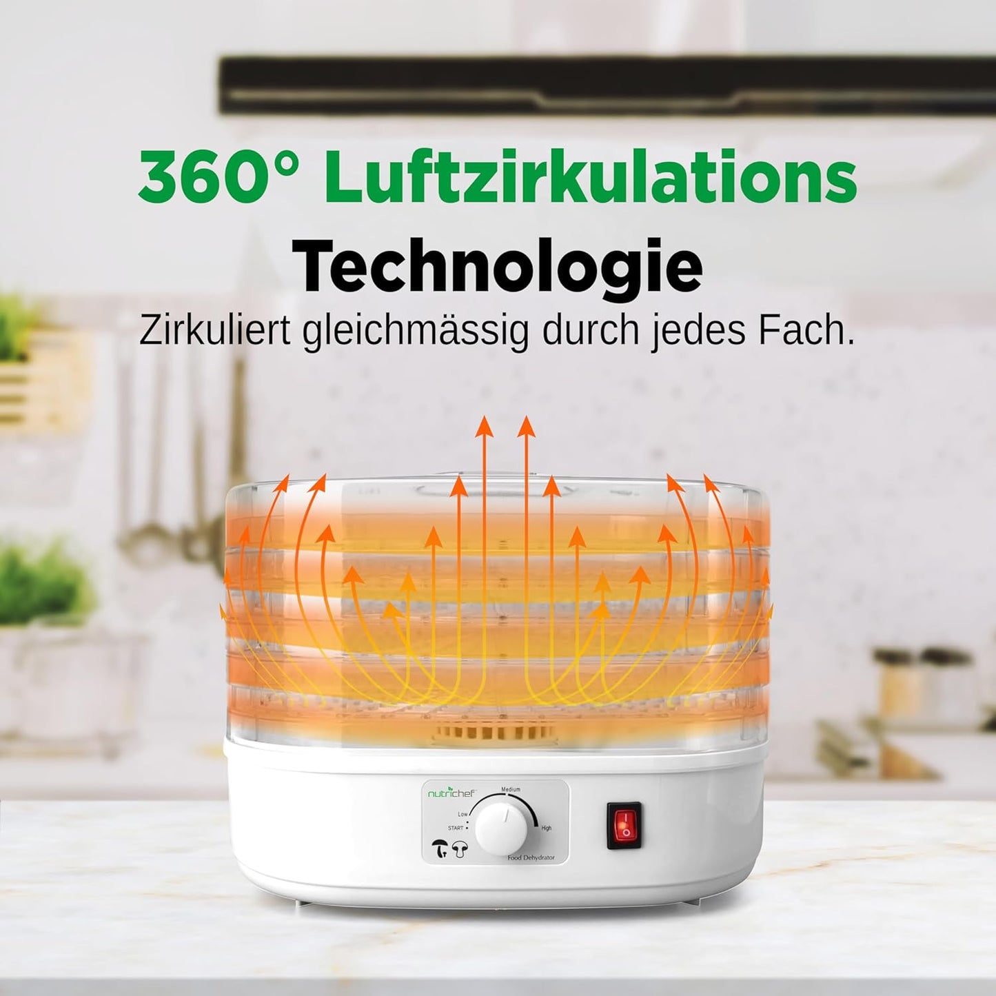 Dörrautomat PKFD06 mit 5 Einschüben und 82°C einstellbar, Weiss