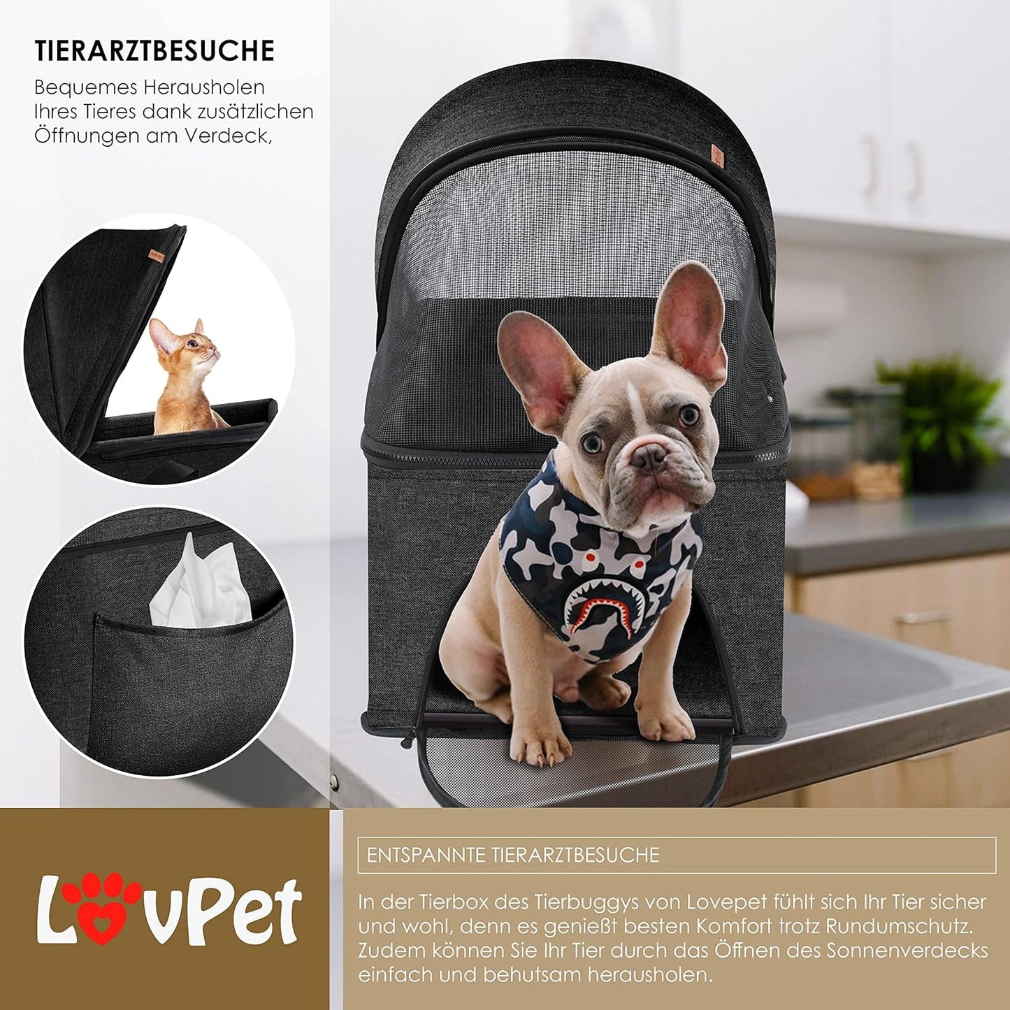 Hundewagen, Schwarz