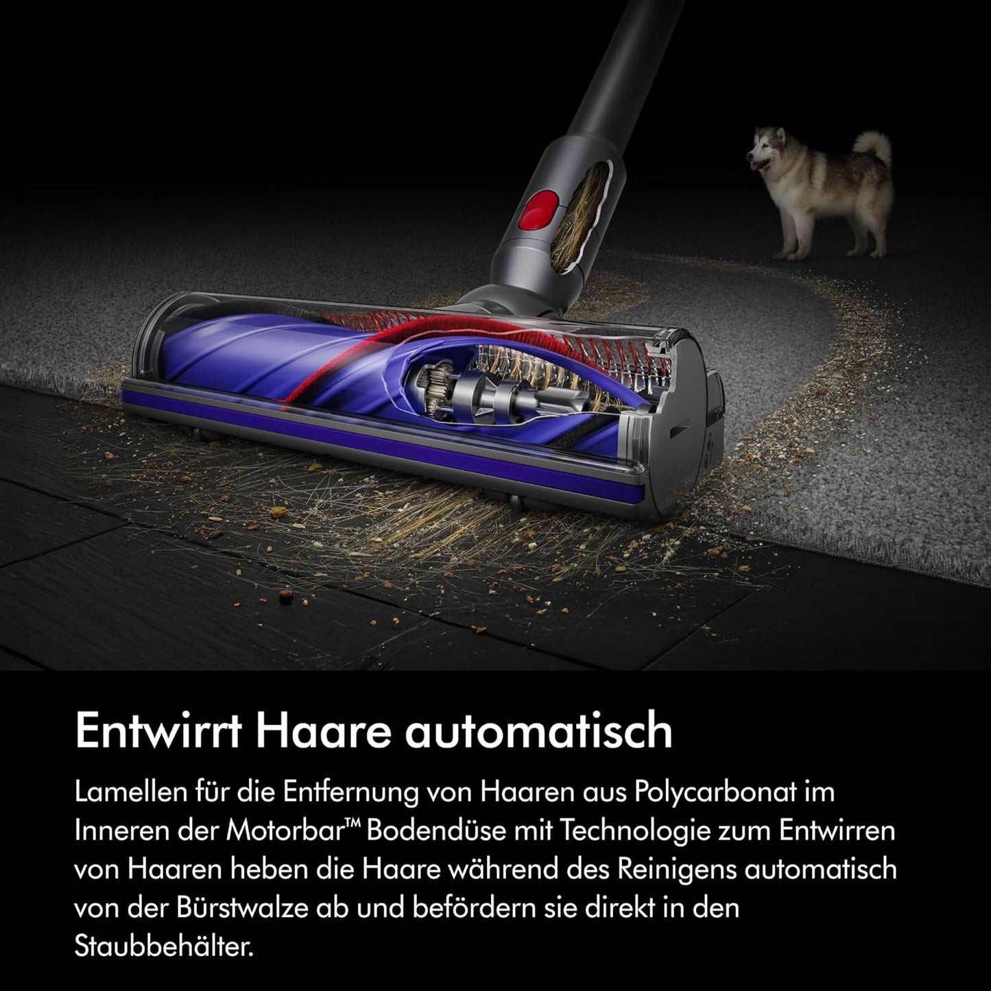 V8 Origin Staubsauger mit Fugendüse und Wandhalterung mit Ladefunktion, Silver/Nickel V8 Origin 2026