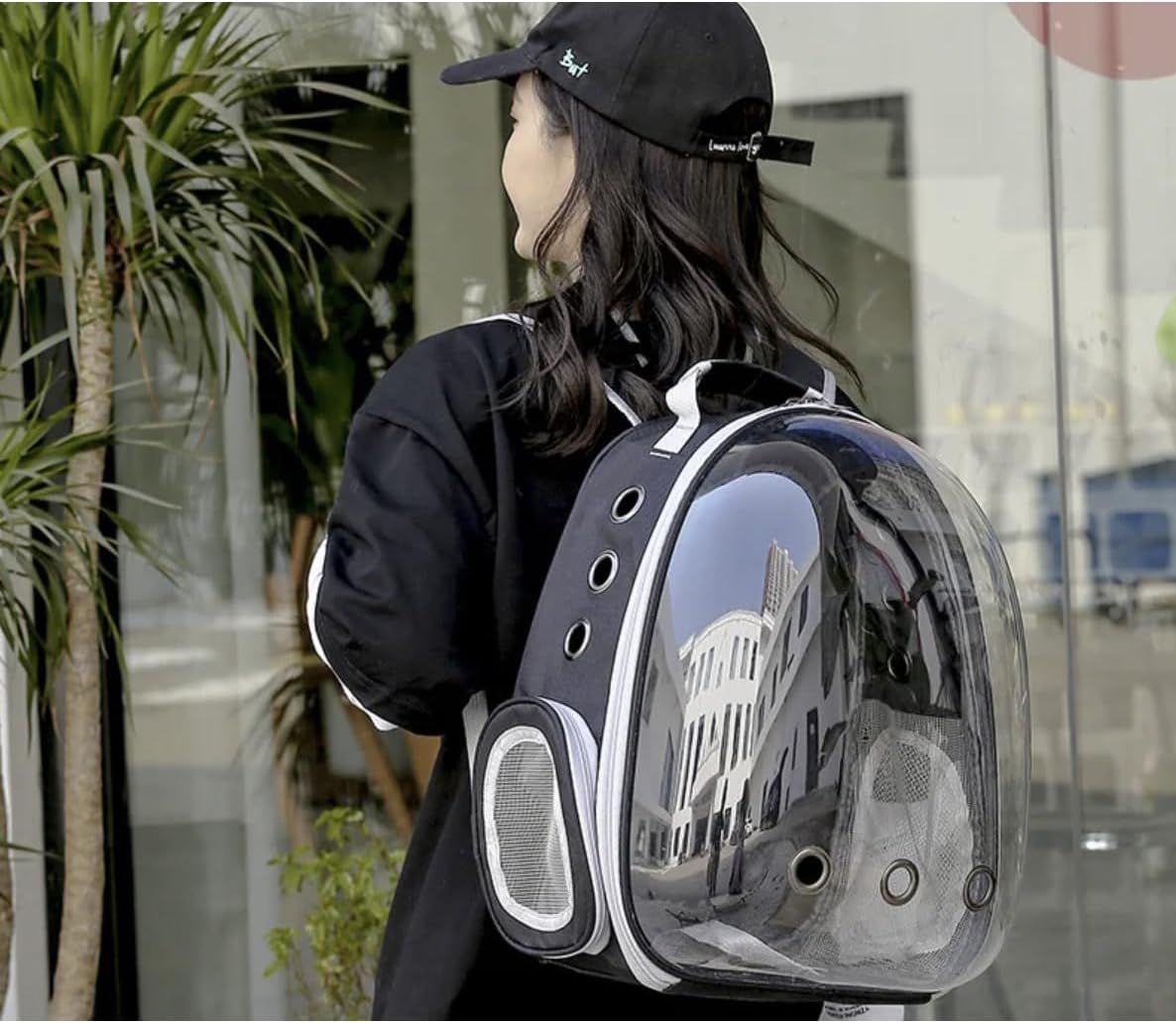 Haustier-Rucksack (für 10 kg)