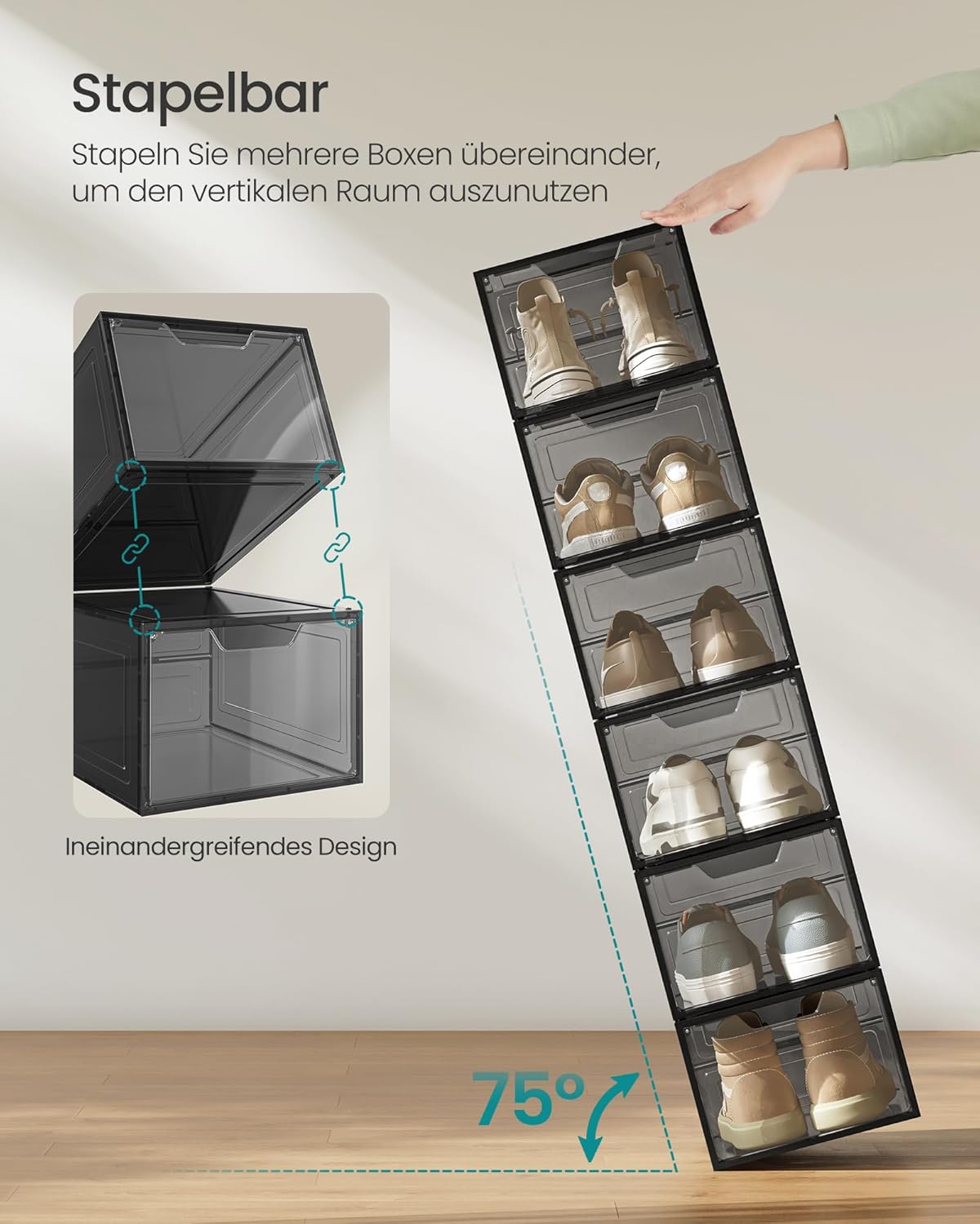 Schuh-Organizer Boxen-Set (12 Stück, stapelbar), Transparentes Schwarz 12
