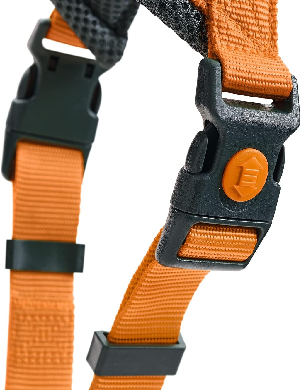 Hundegeschirr London Comfort, orange M-L