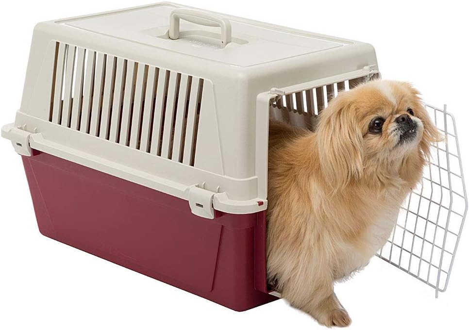 Hunde- und Katzentransportbox Atlas, 1 Tür L 60 x B 40 x H 38 cm Bordeaux