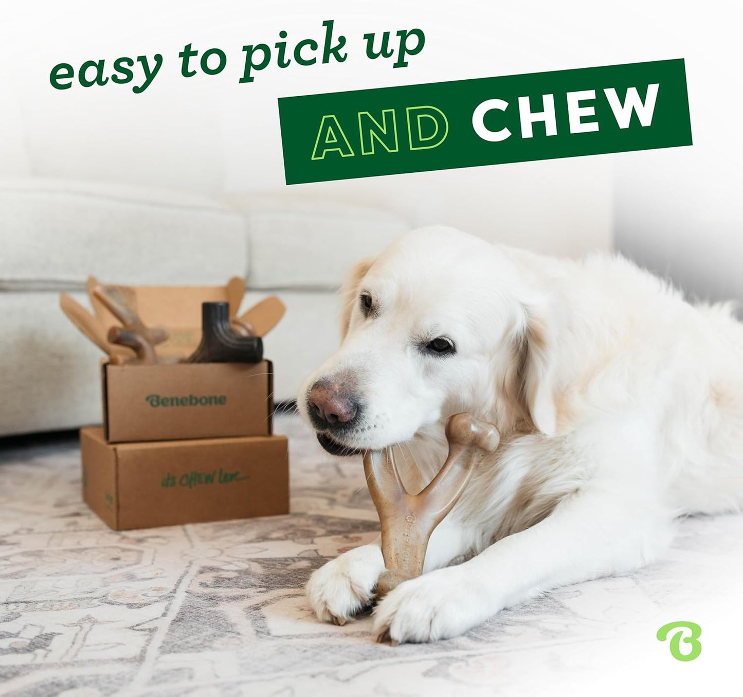 Kauspielzeug-Geschenkbox für kleine Hunde, 4 Pack Small