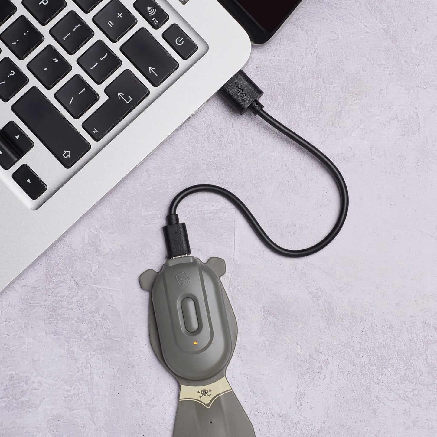 Flexilight 2-in-1 Clip On Leselampe & Lesezeichen, wiederaufladbar, Pirat