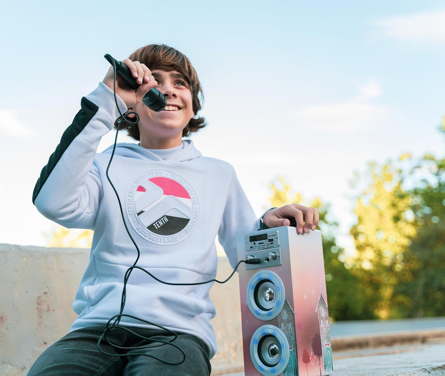 Tragbare Karaoke-Maschine mit 2 Mikrofonen, Model 19