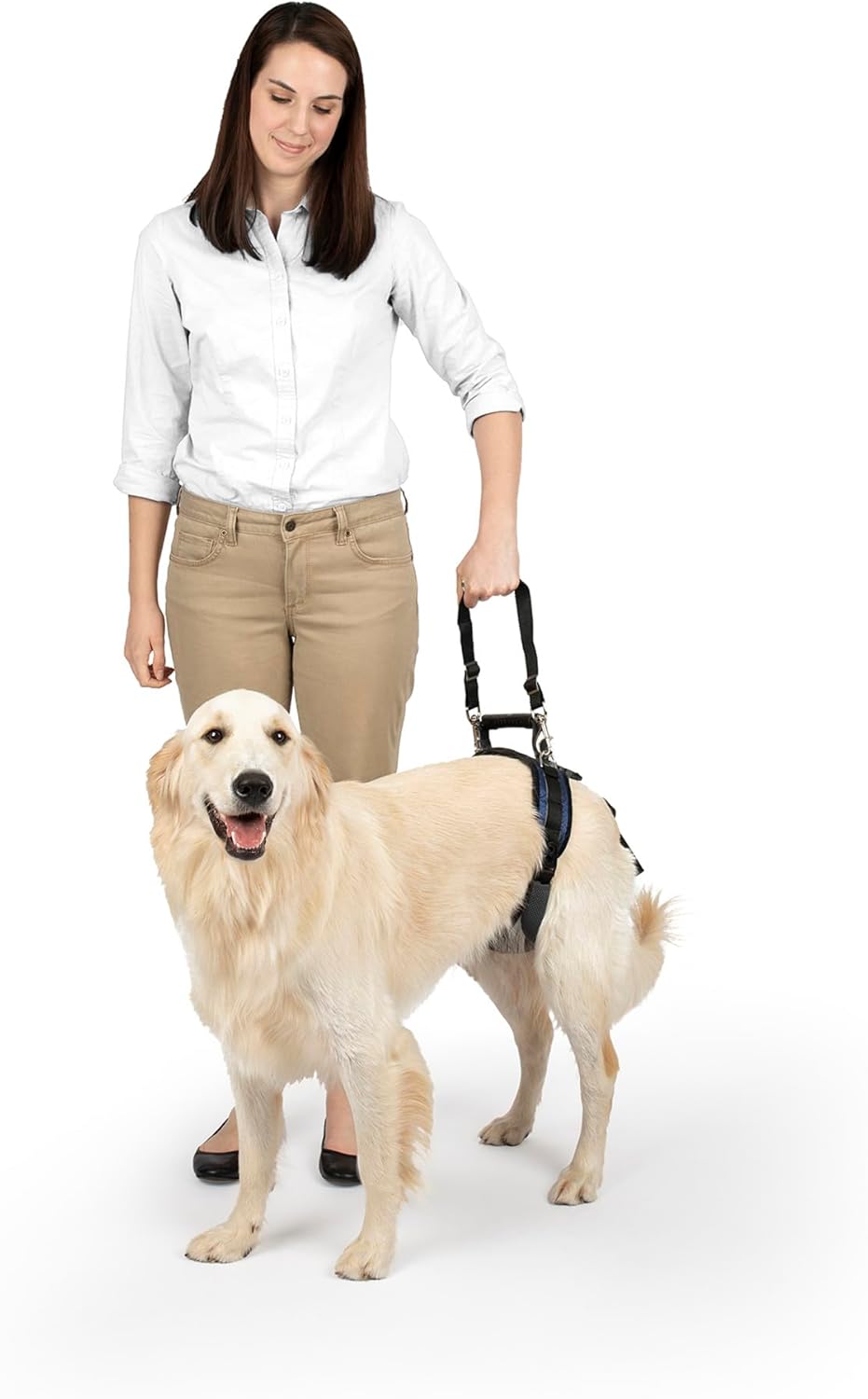 Hüft-Hebegeschirr für Hunde, L Hüftgeschirr