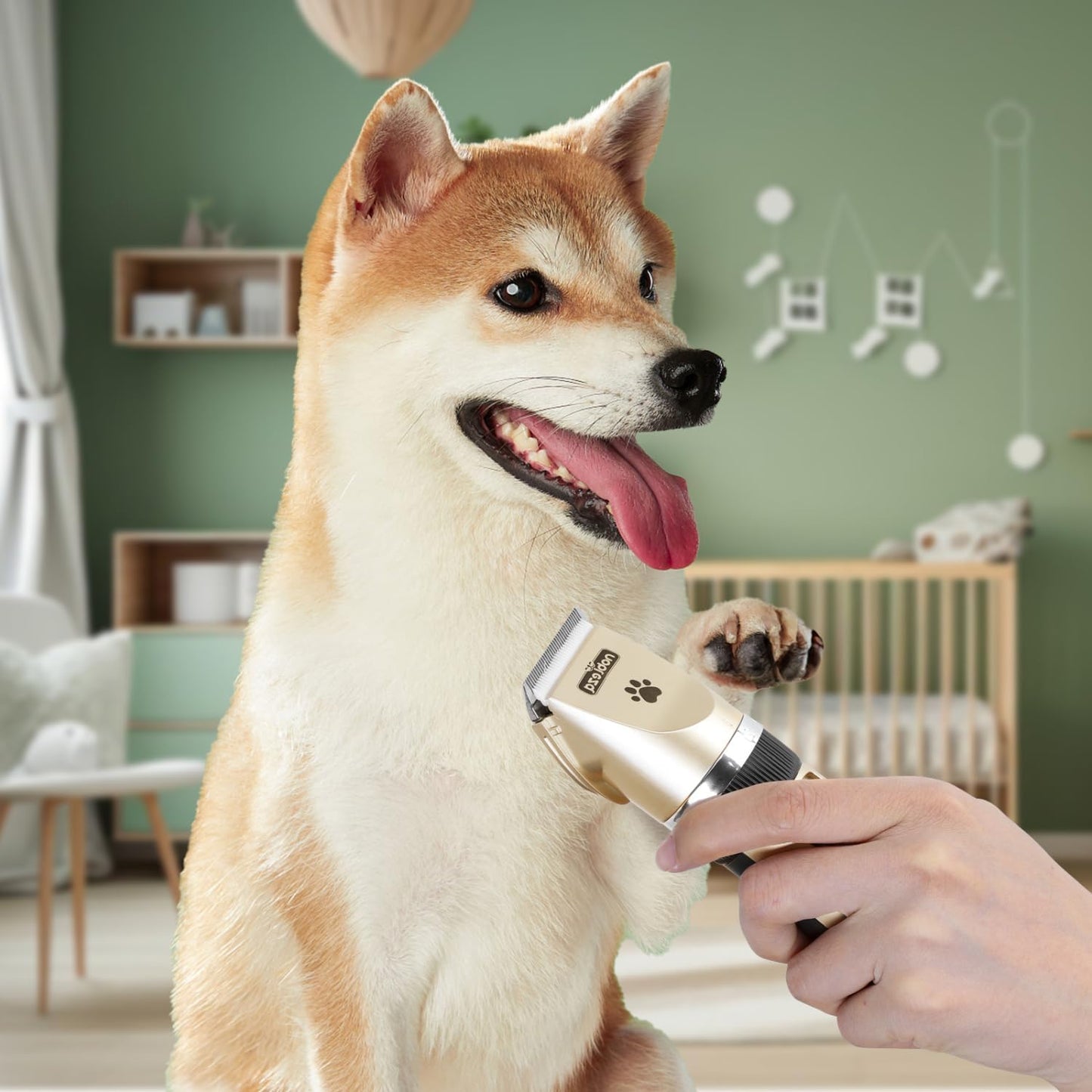 Hundeschermaschinen-Set
