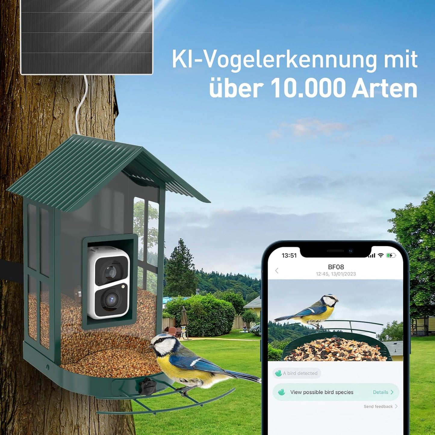 Vogelhaus mit Kamera, Grün