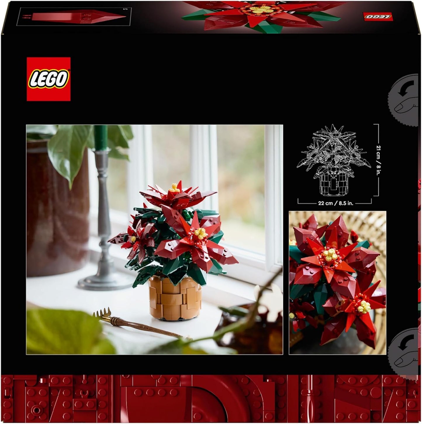 Weihnachtsstern